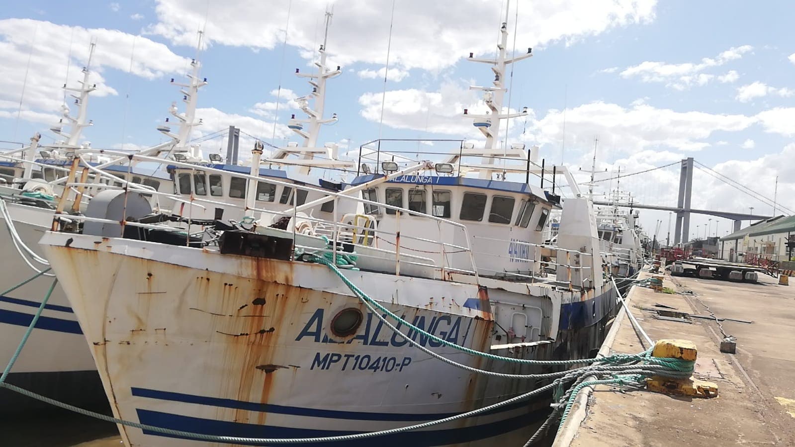 Atuneiro ALALUNGA I  - Longliner ALALUNGA I — image 9