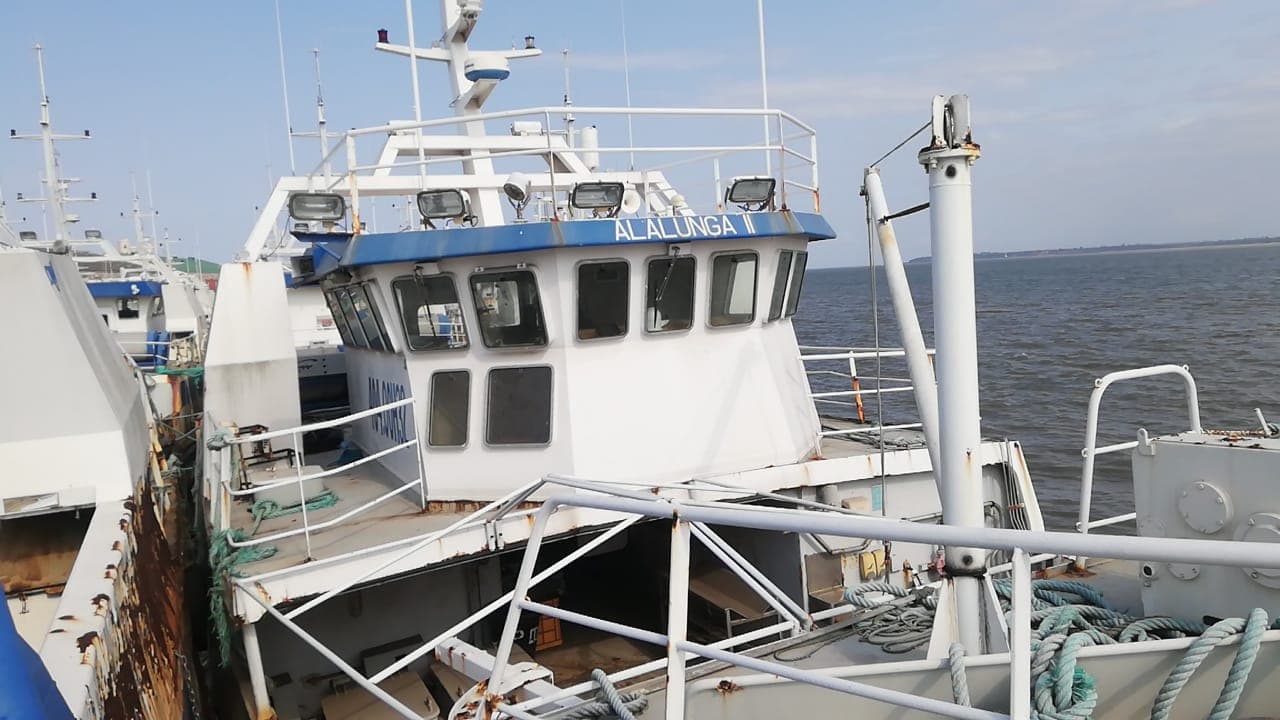 Atunero ALALUNGA II - Longliner ALALUNGA II — imagen 9