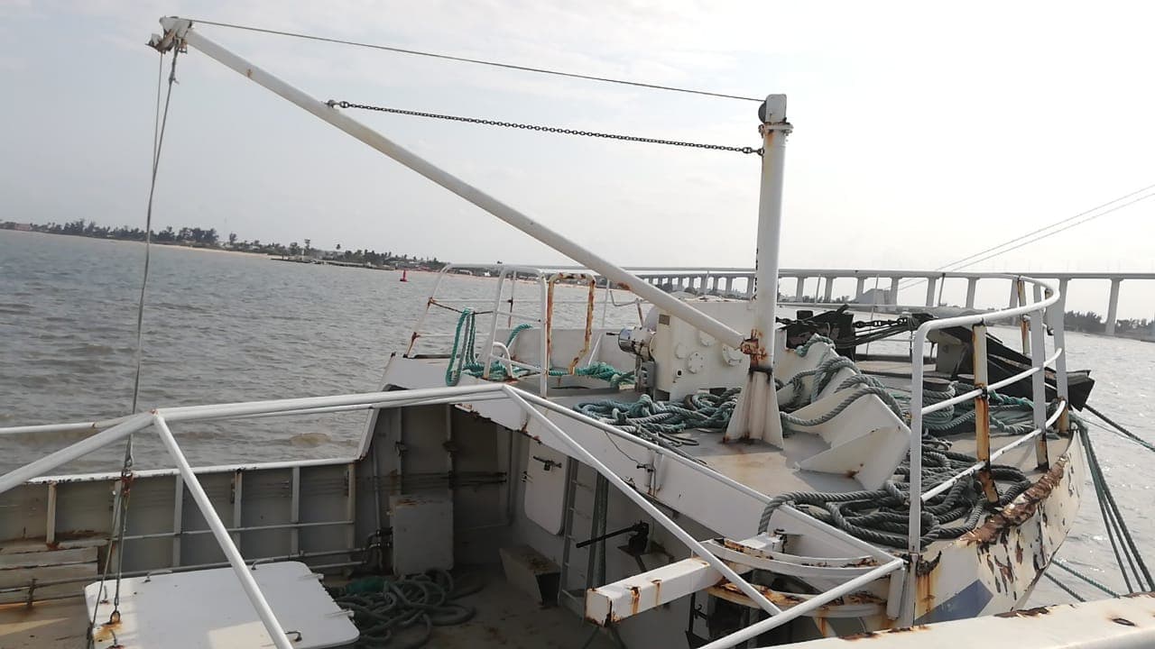 Atunero ALALUNGA II - Longliner ALALUNGA II — imagen 13
