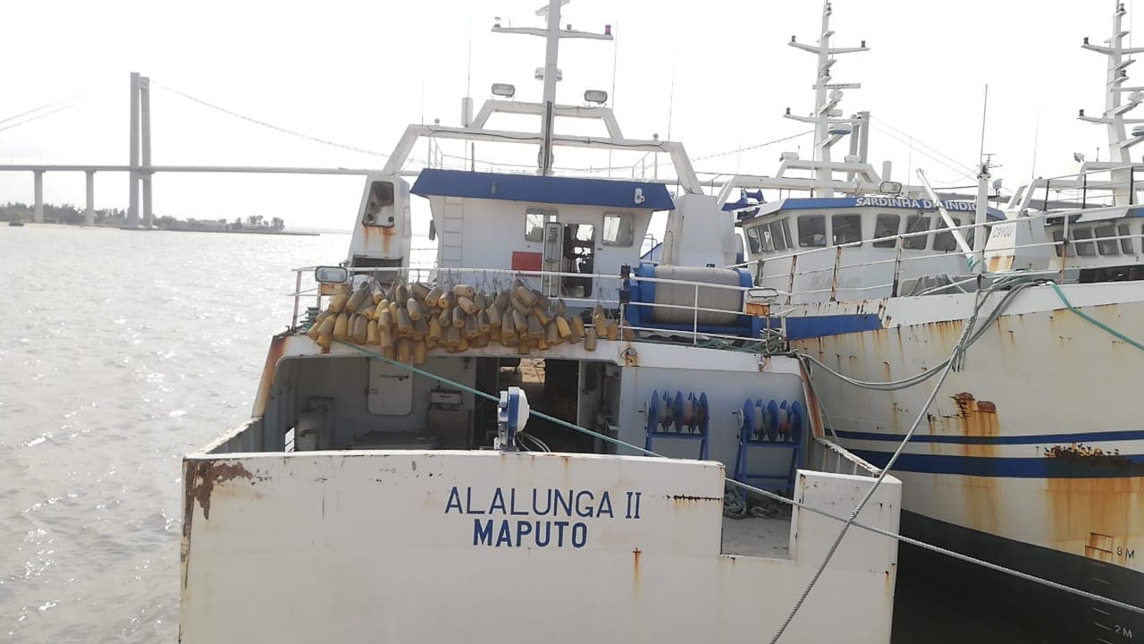 Atuneiro ALALUNGA II -  Longliner ALALUNGA II