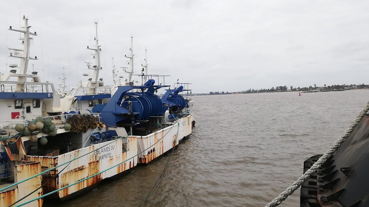 Atunero ALALUNGA III - Longliner ALALUNGA III — imagen 2