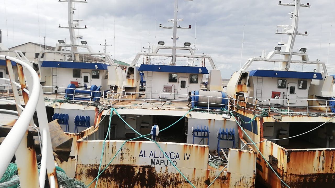 Atuneiro ALALUNGA IV - Longliner ALALUNGA IV — image 15