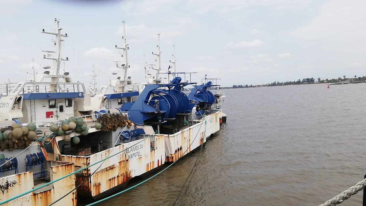 Arrastre | Trawler - SARDINHA do ÍNDICO III — imagen 4