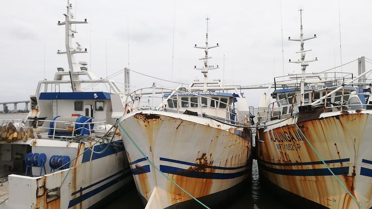 Arrastre | Trawler - SARDINHA do ÍNDICO III — imagen 2