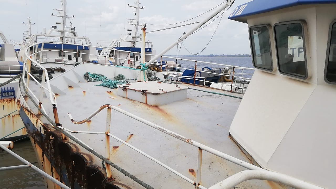 Arrastre | Trawler - SARDINHA do ÍNDICO III — imagen 5