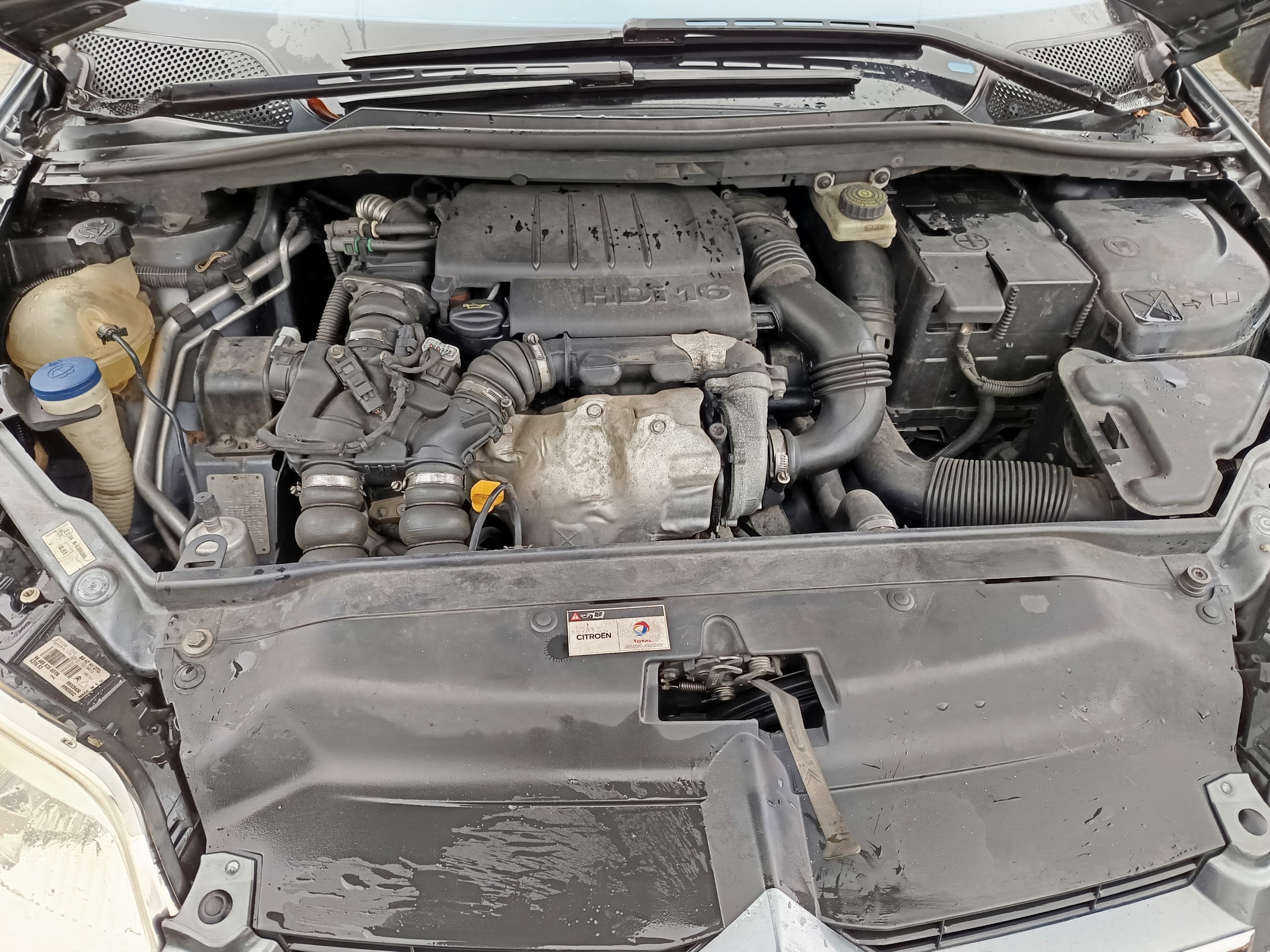 Citroën C4 · Ano 2008 — imagen 17