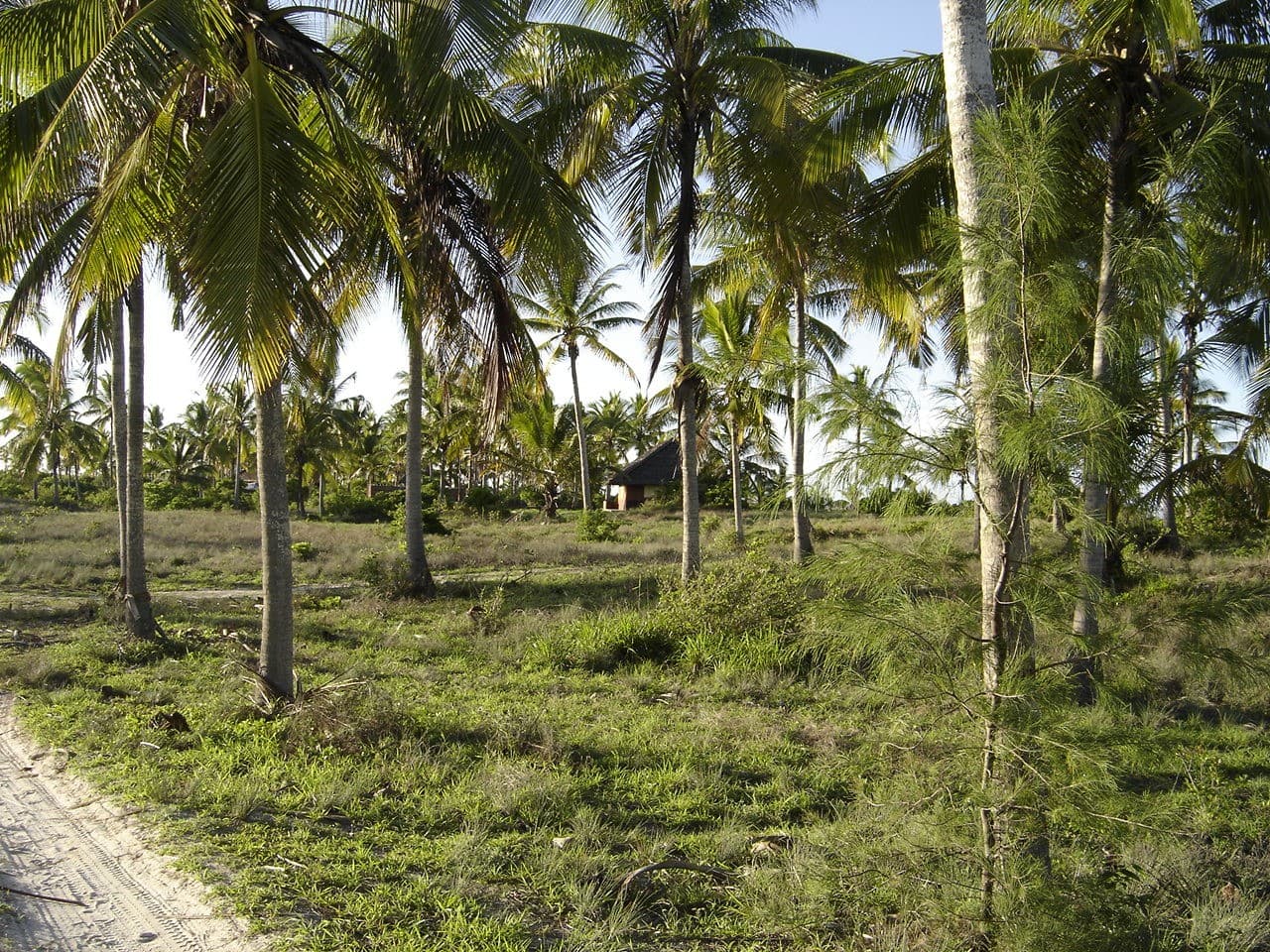 Instância Turística em Chocas Mar | Tourist Resort in Chocas Beach — imagen 3
