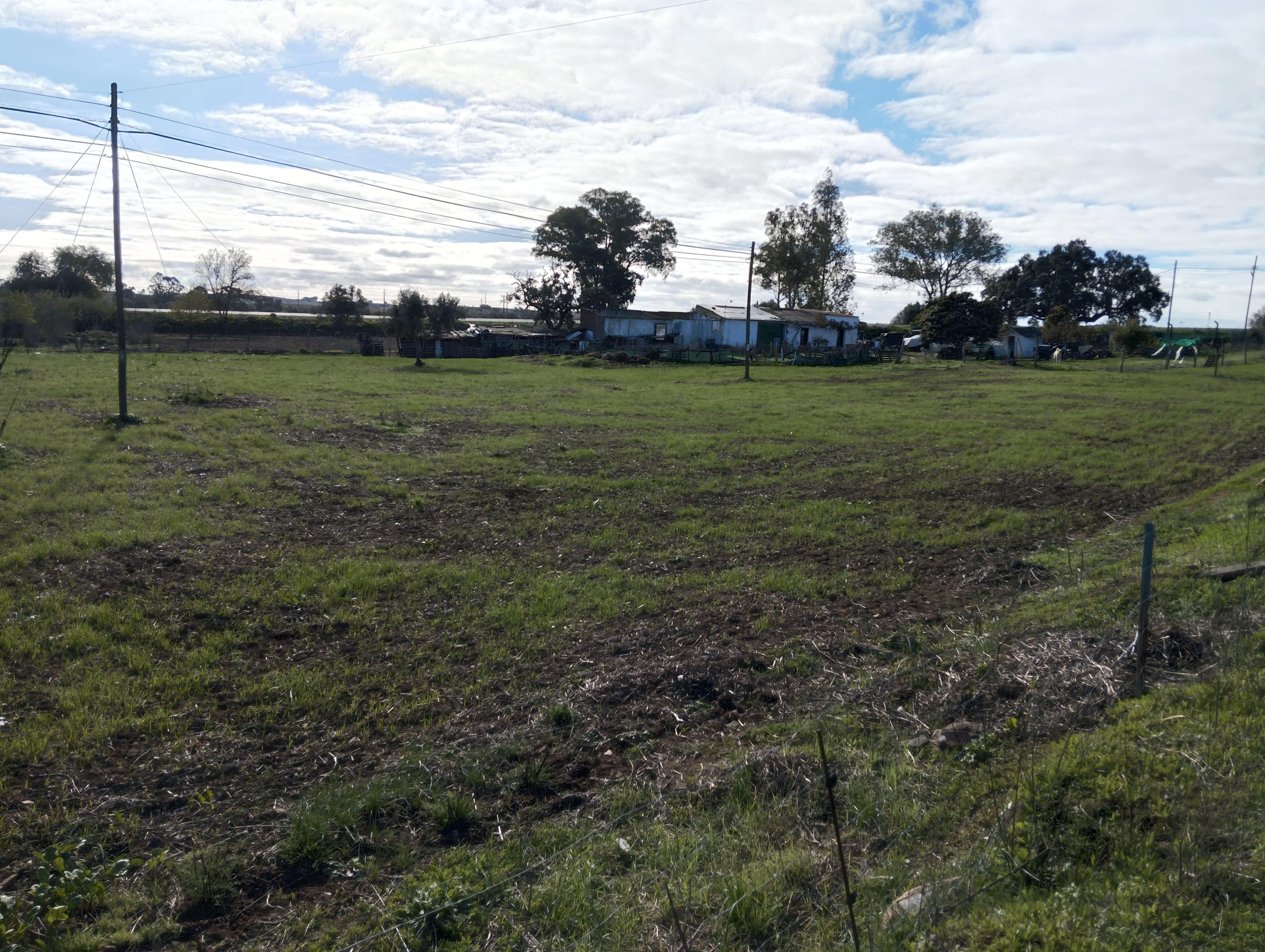 Terreno · Nossa Senhora das Neves, Beja — image 1