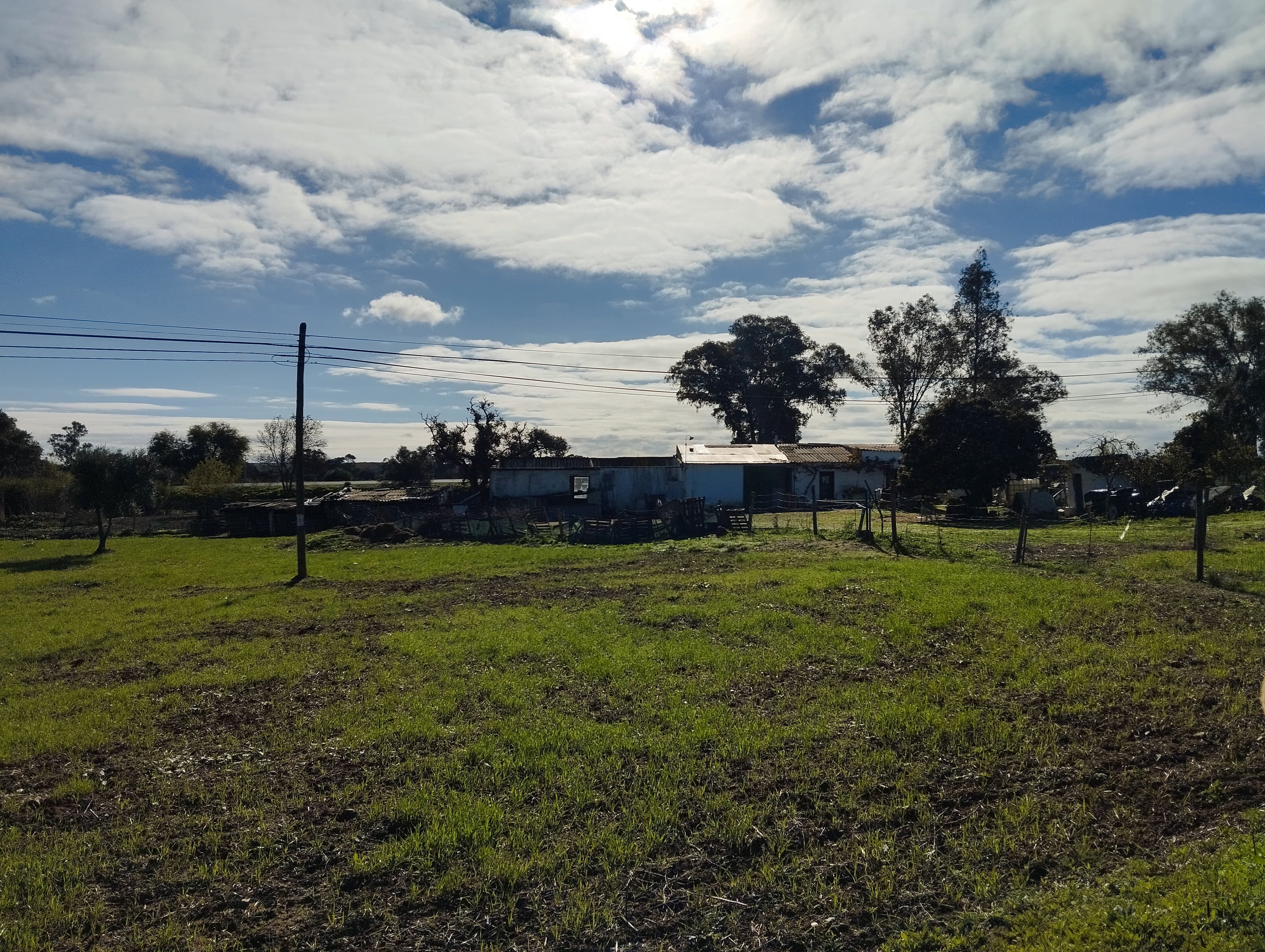 Terreno · Nossa Senhora das Neves, Beja — image 15