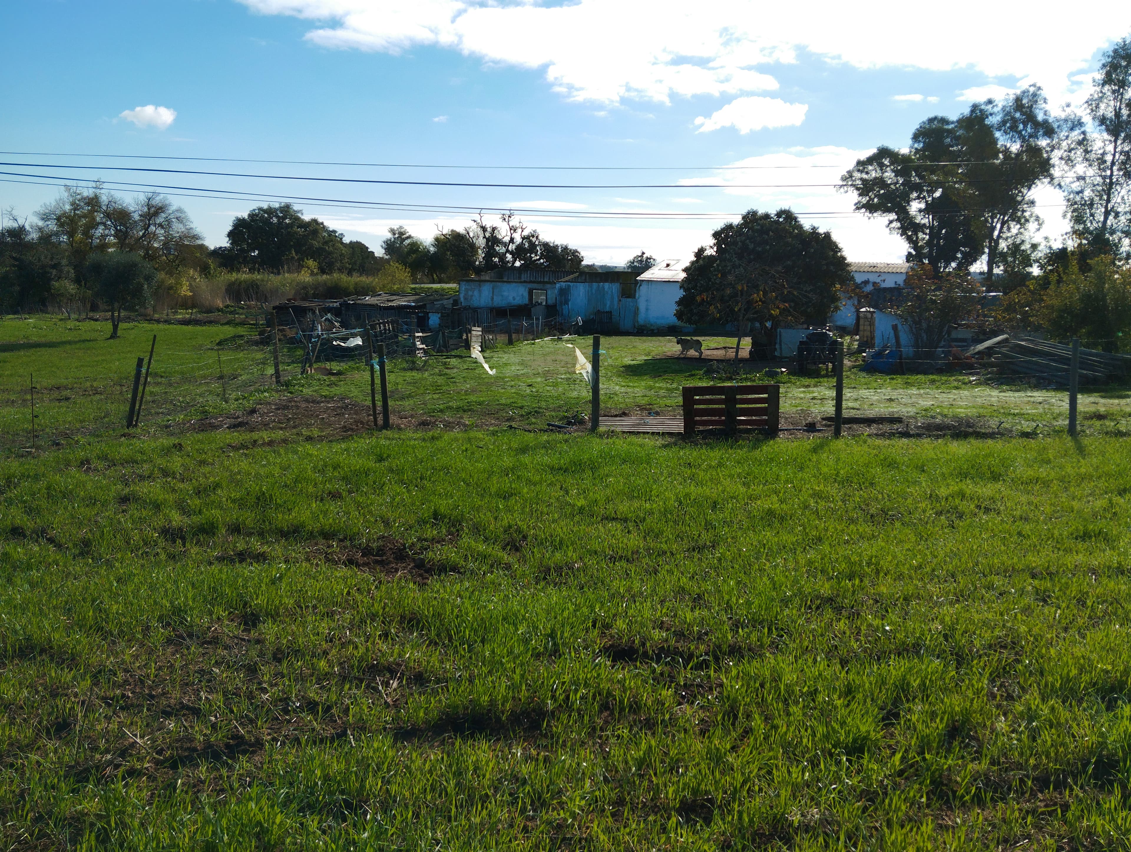 Terreno · Nossa Senhora das Neves, Beja — image 14