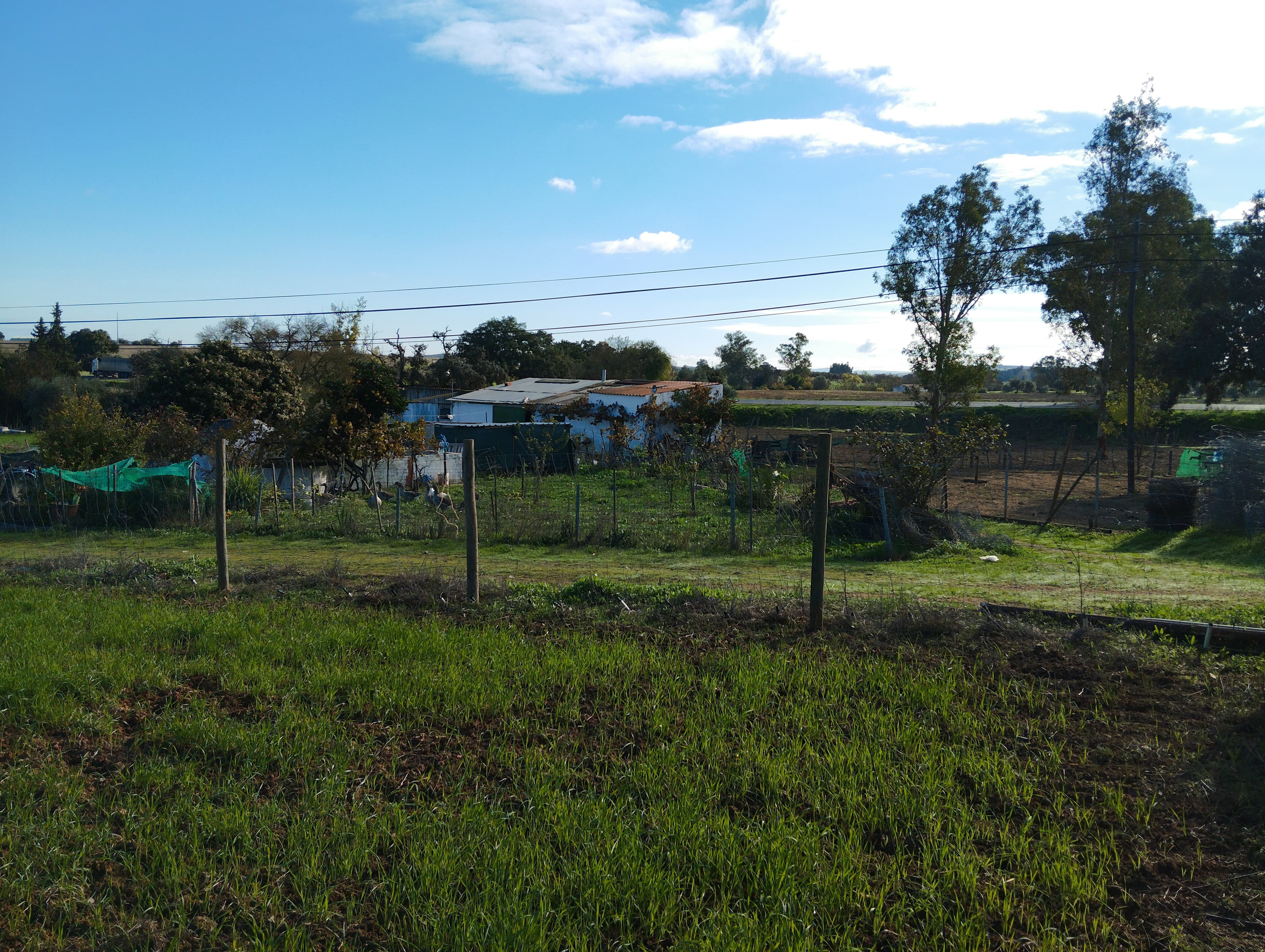 Terreno · Nossa Senhora das Neves, Beja — image 3