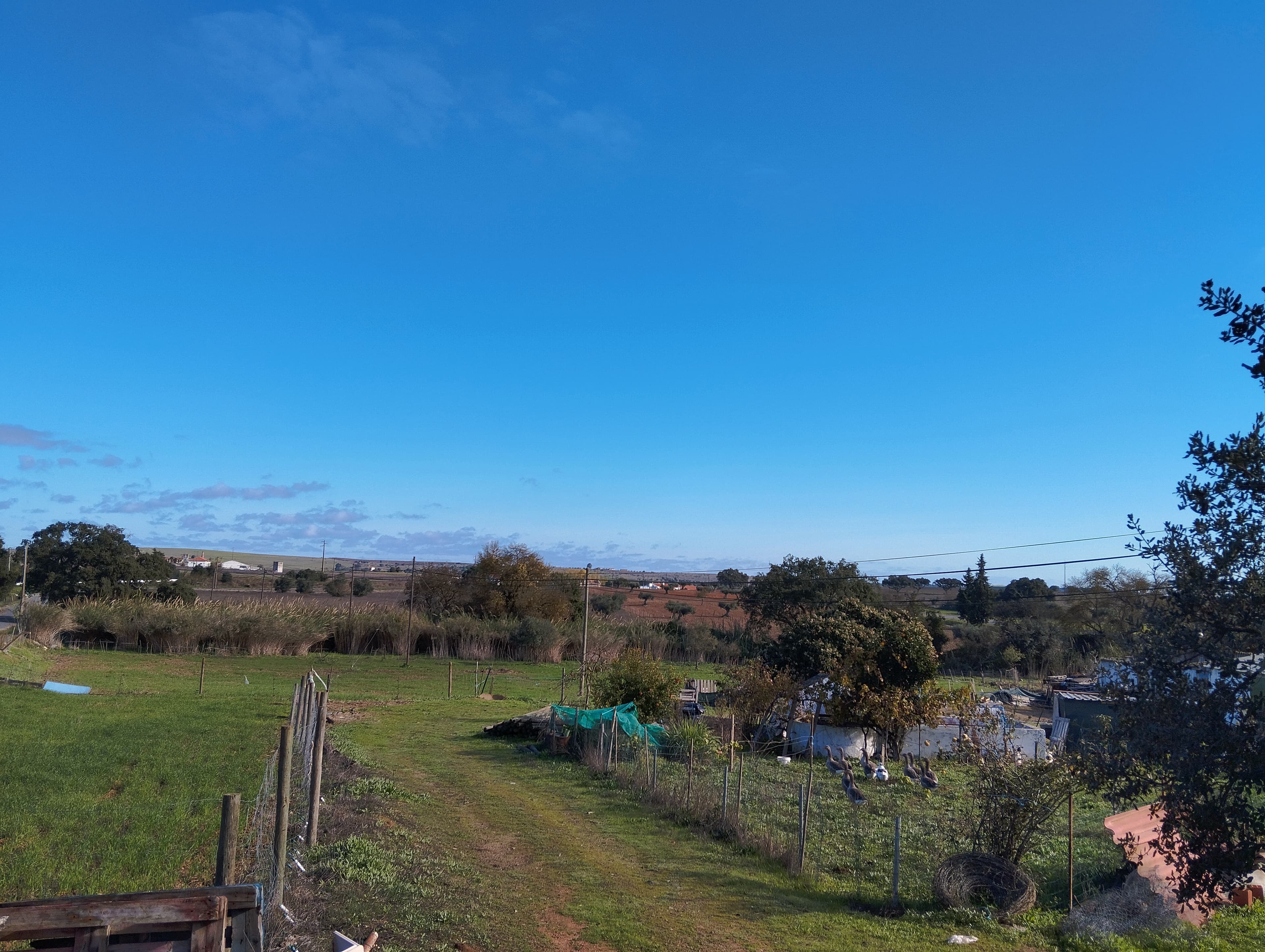 Terreno · Nossa Senhora das Neves, Beja — image 12