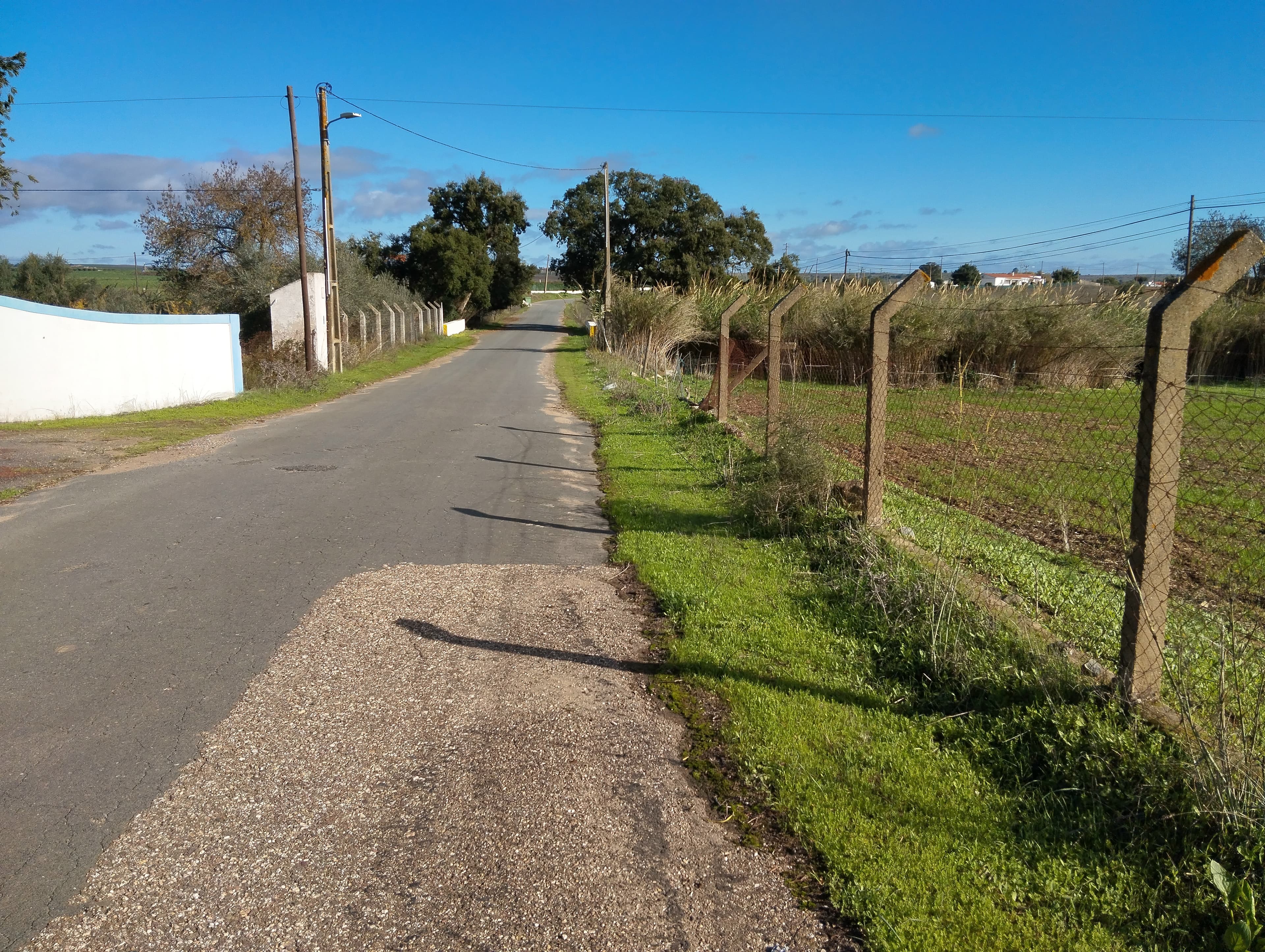 Terreno · Nossa Senhora das Neves, Beja — image 13