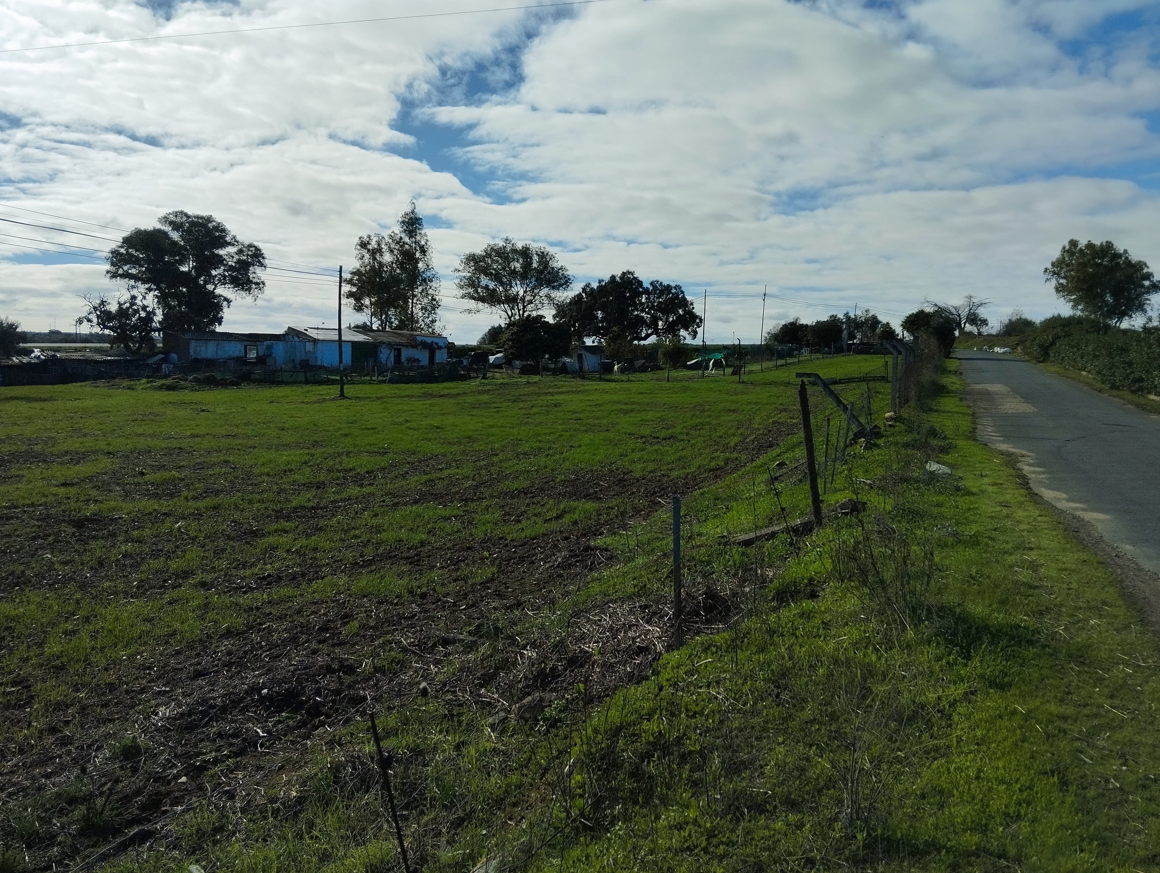 Terreno · Nossa Senhora das Neves, Beja — image 9