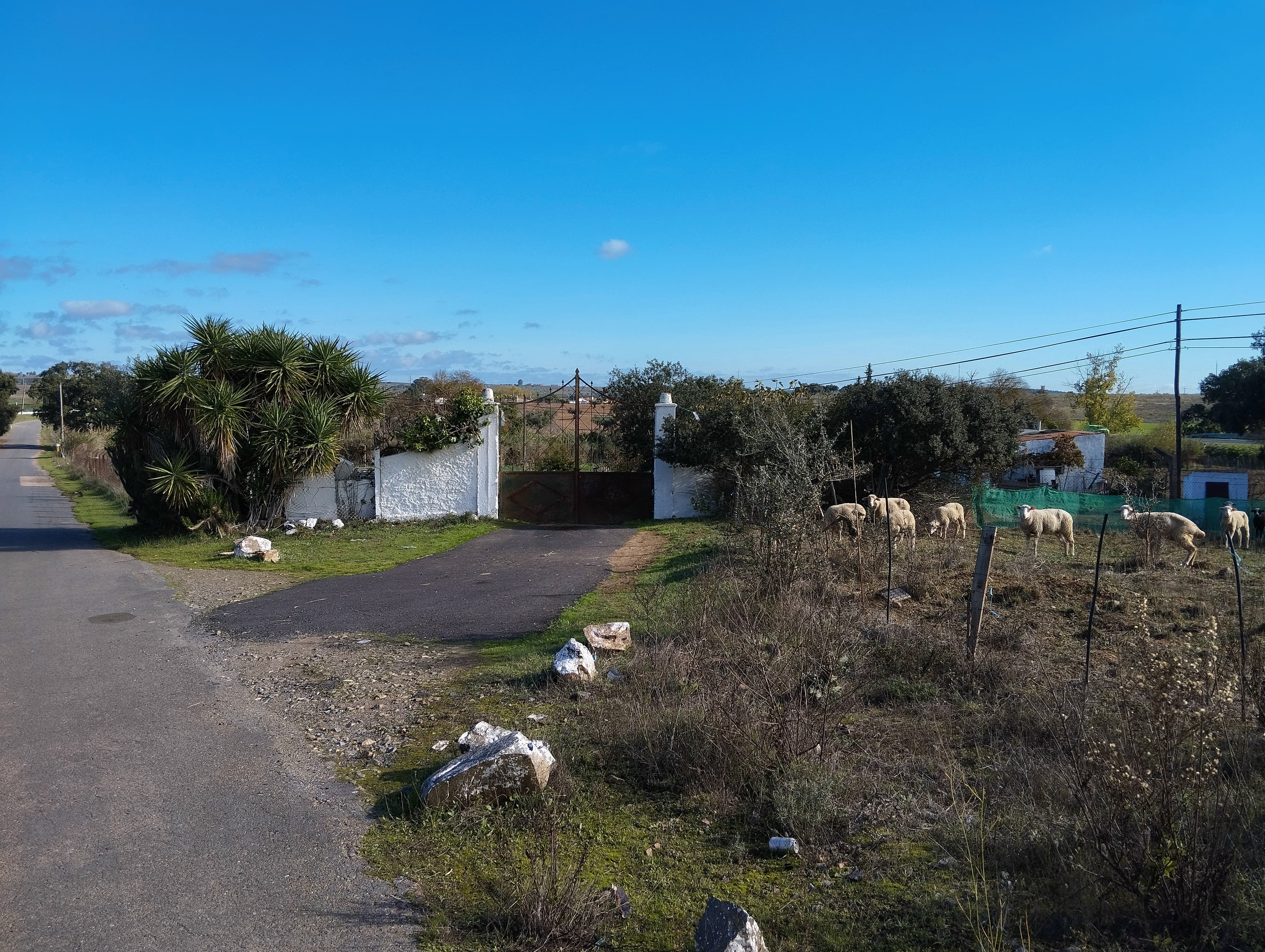 Terreno · Nossa Senhora das Neves, Beja — image 4