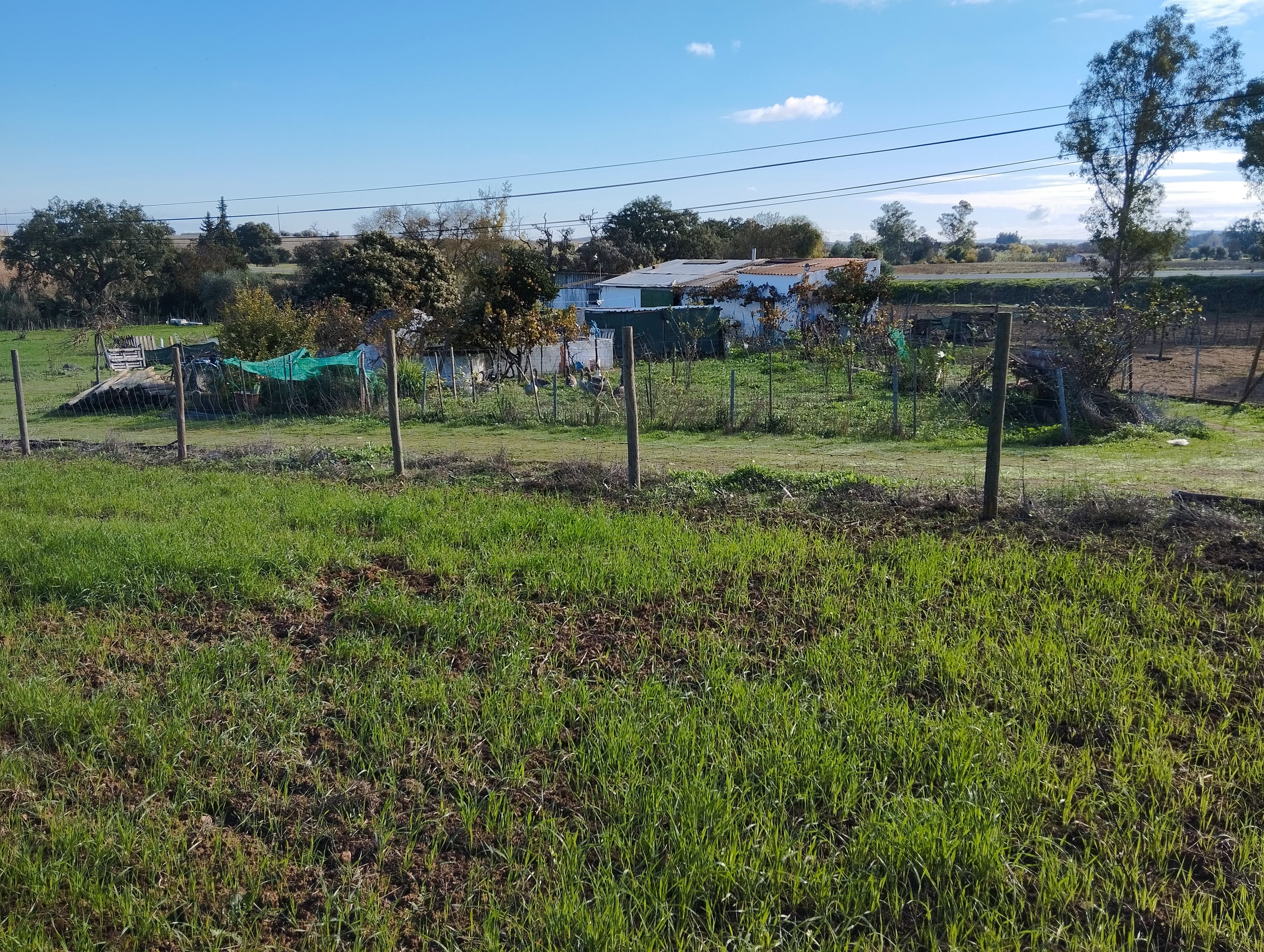 Terreno · Nossa Senhora das Neves, Beja — image 8