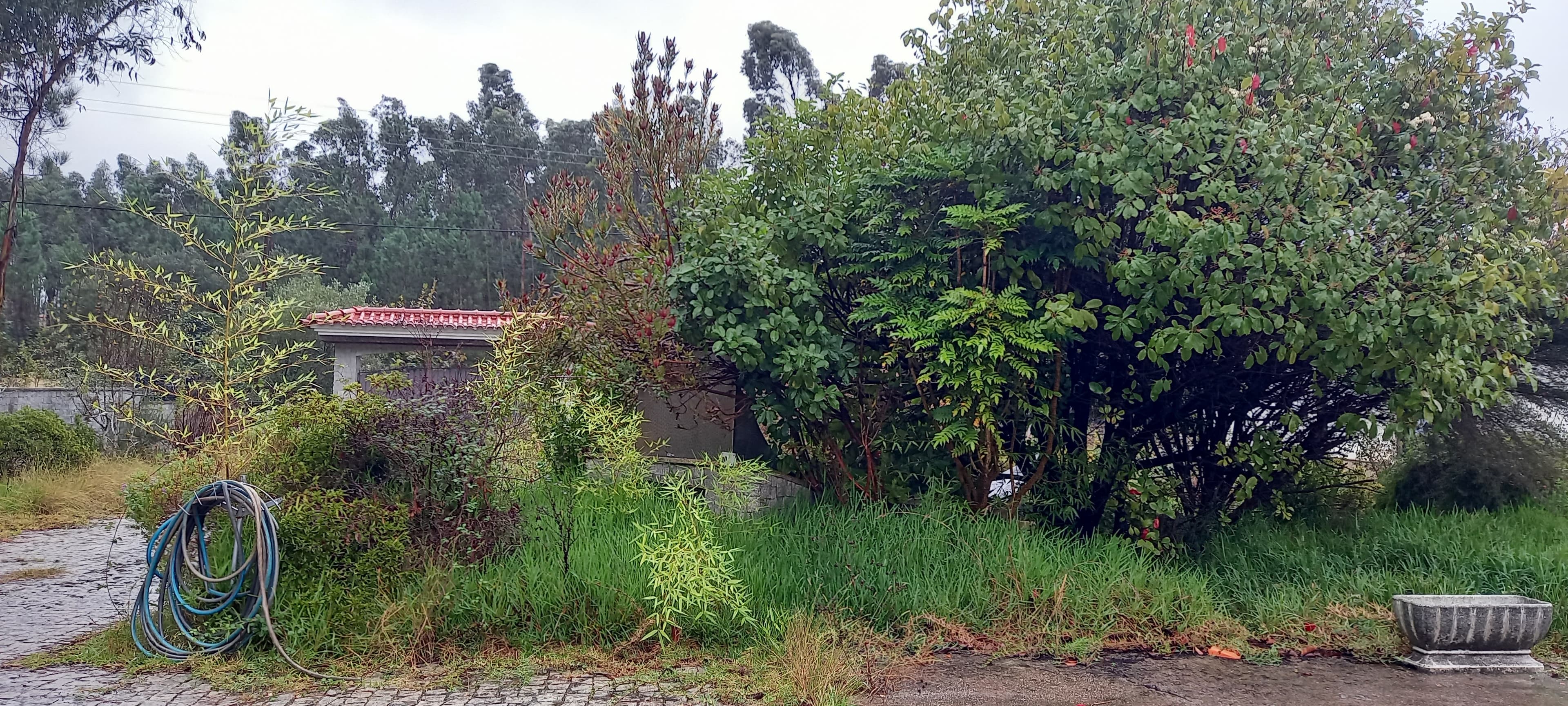 Moradia V5 e Estacionamento · Oliveira de Azeméis — imagen 7
