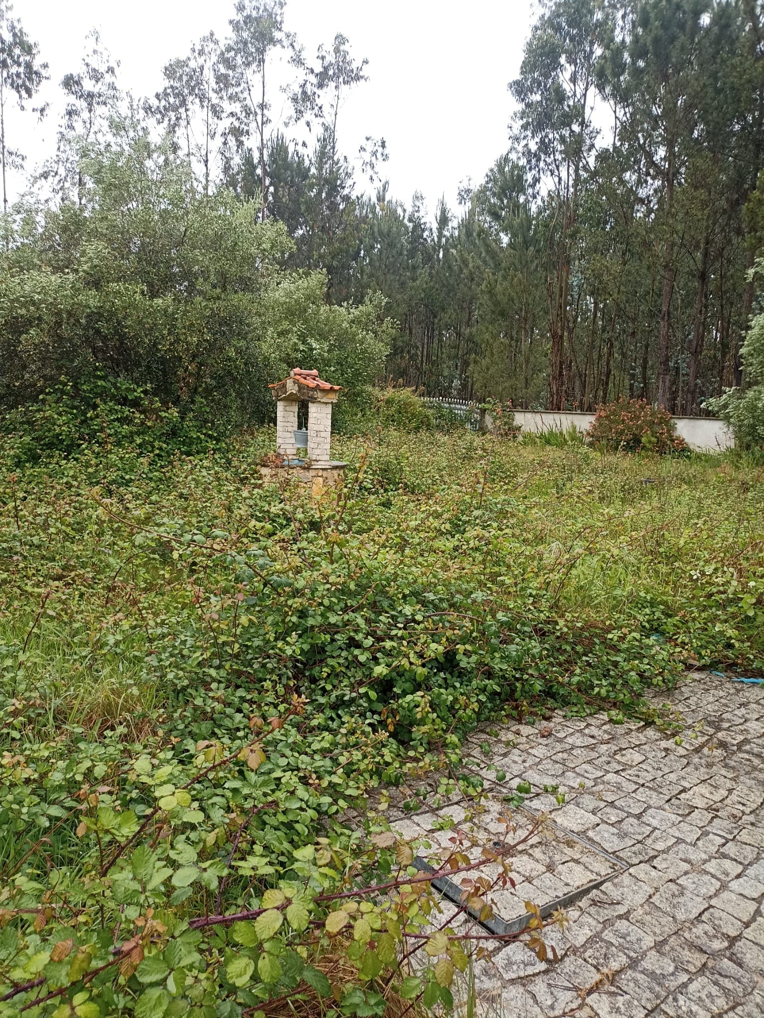Moradia V5 e Estacionamento · Oliveira de Azeméis — imagen 22