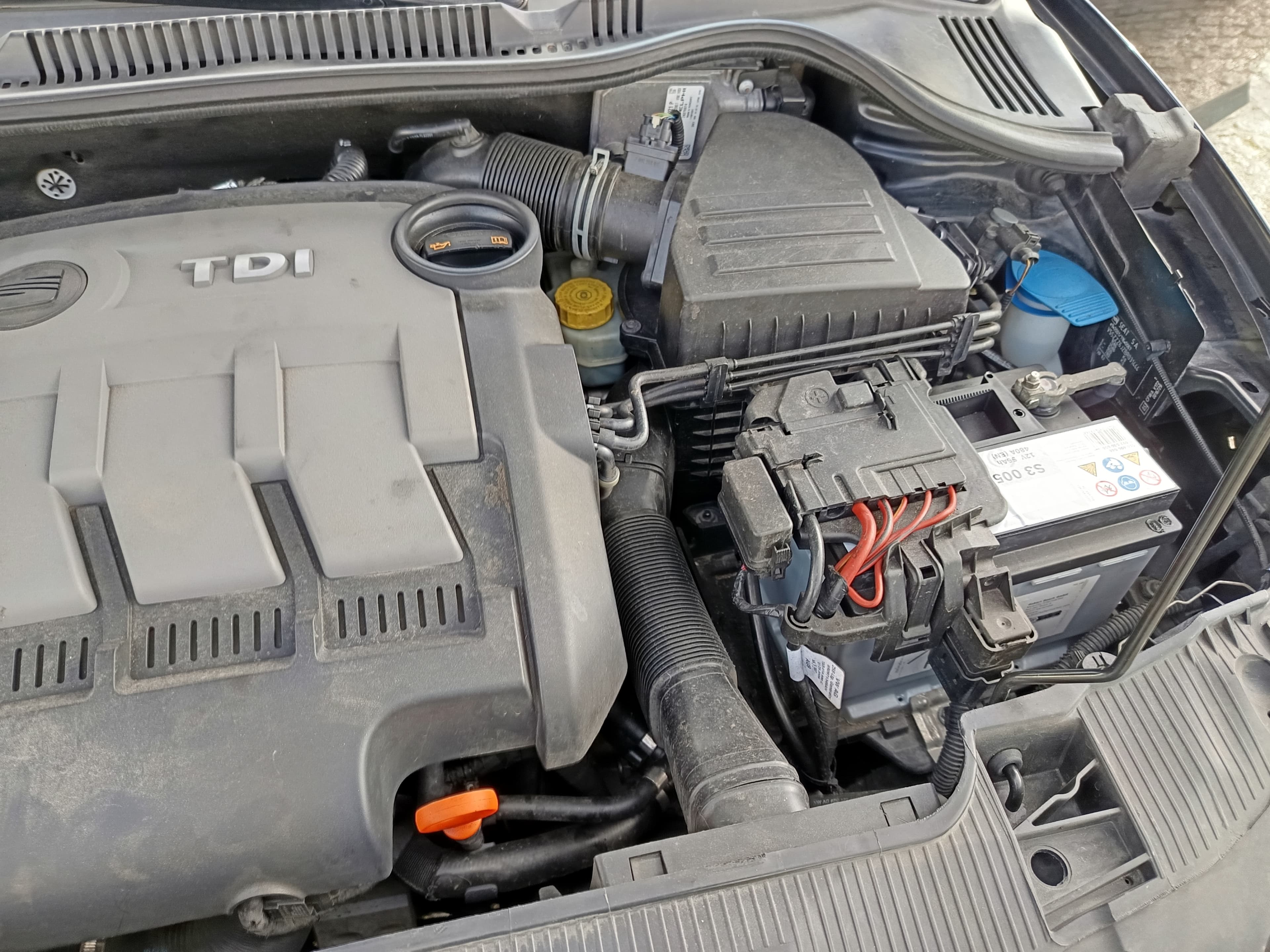 Seat Ibiza · Ano 2010 — imagen 15