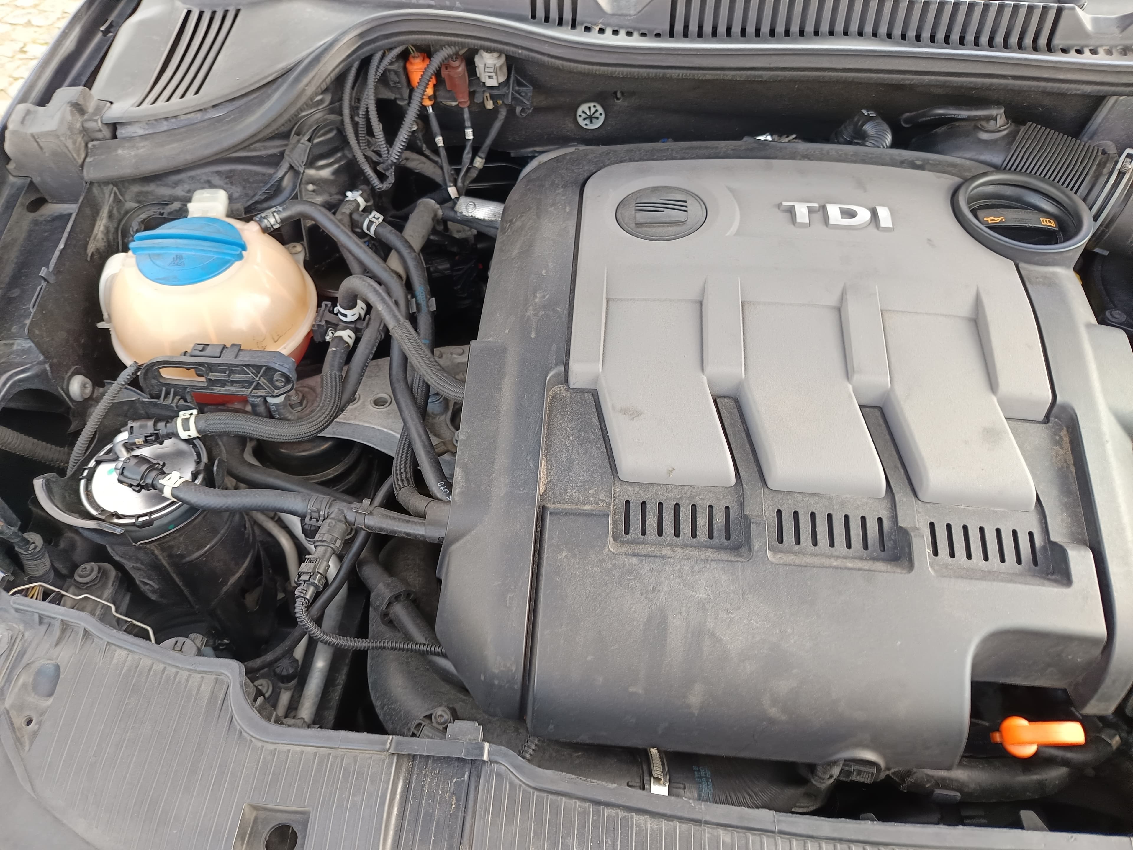 Seat Ibiza · Ano 2010 — imagen 14