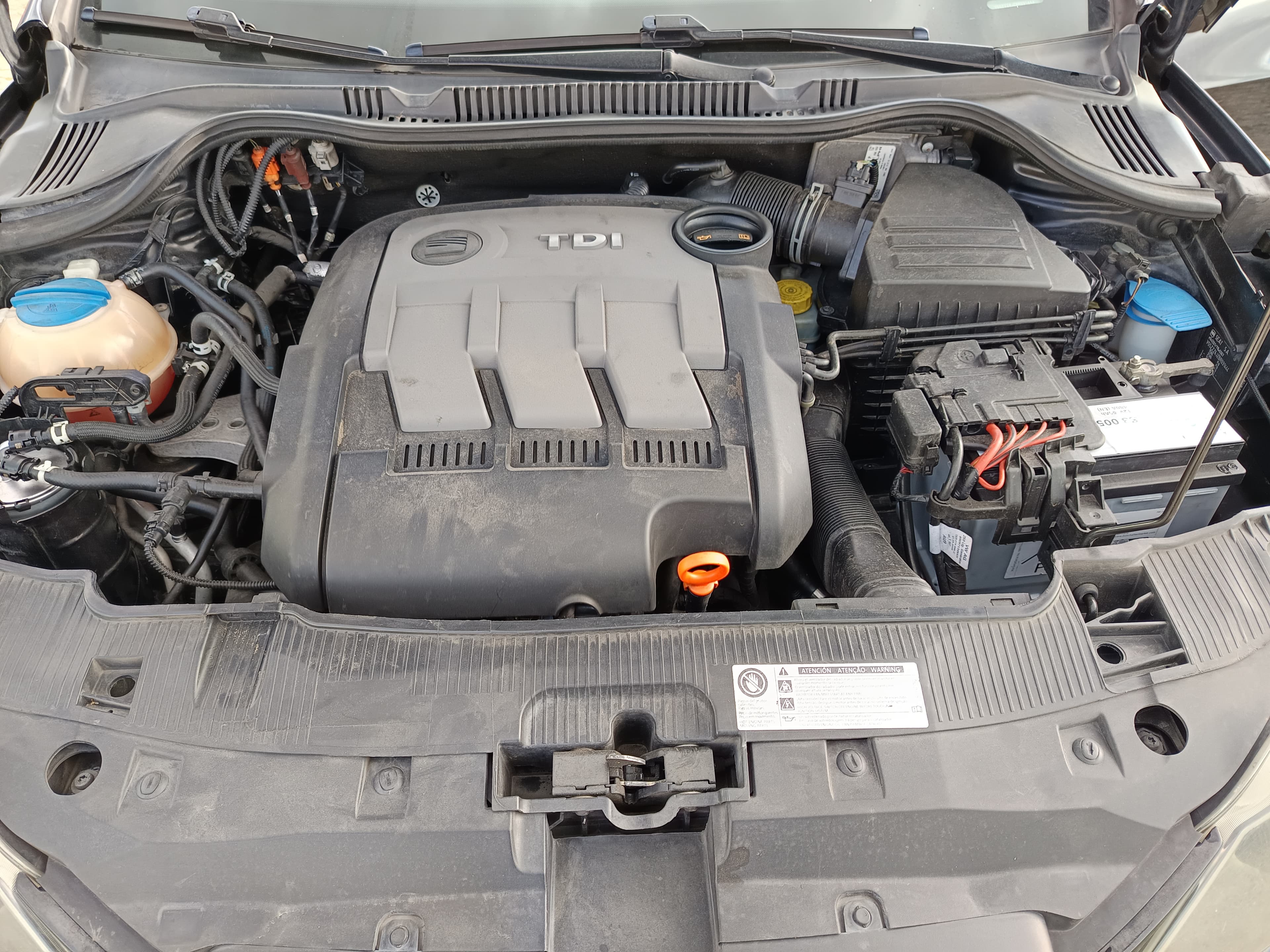 Seat Ibiza · Ano 2010 — imagen 13