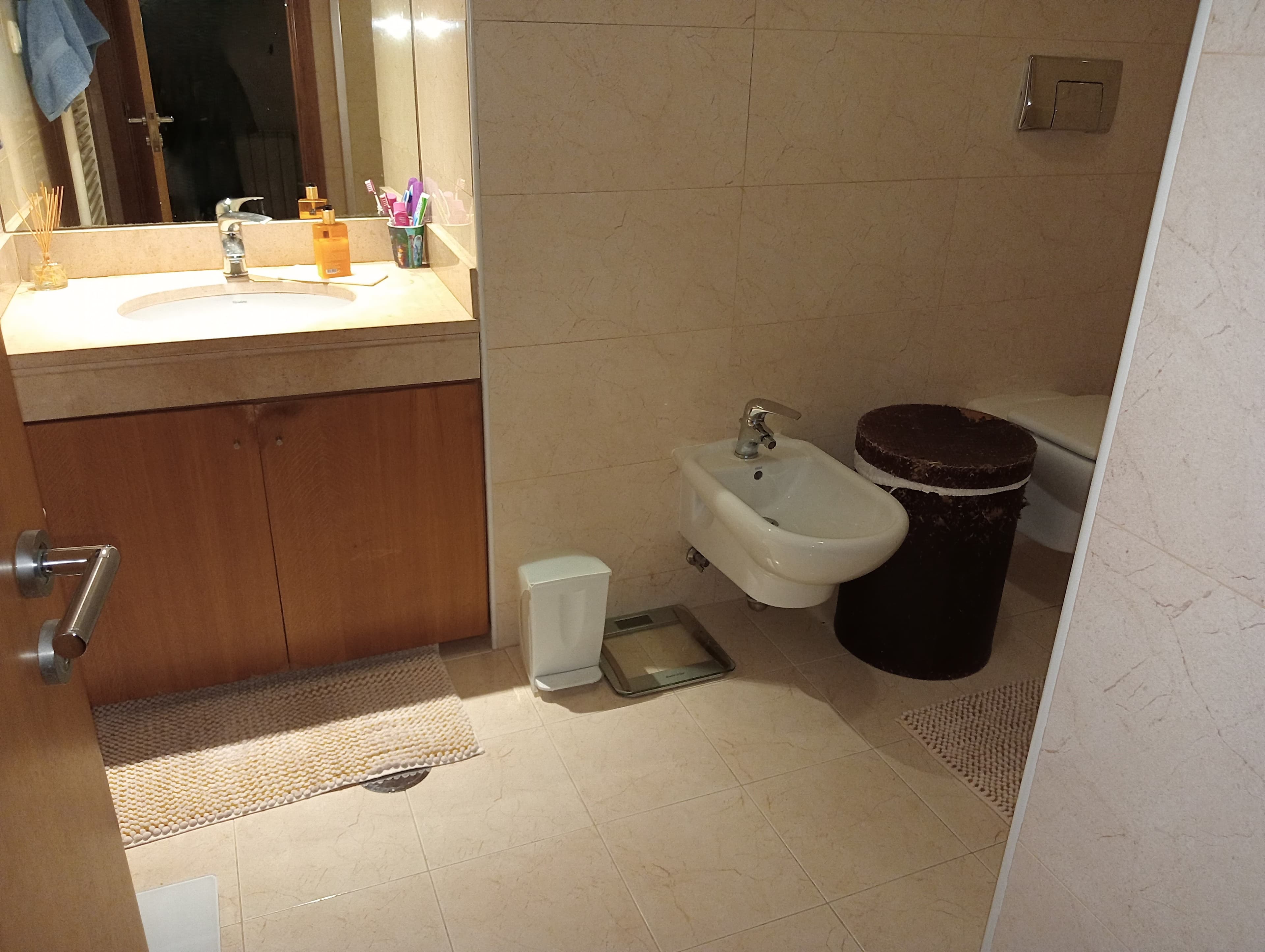 Proporção de ½ de Apartamento T3 · São João da Madeira — image 21
