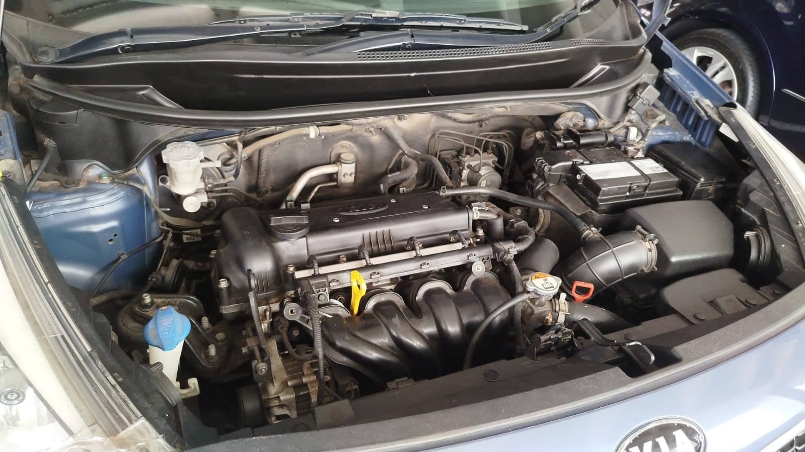 Kia/RIO — imagen 20