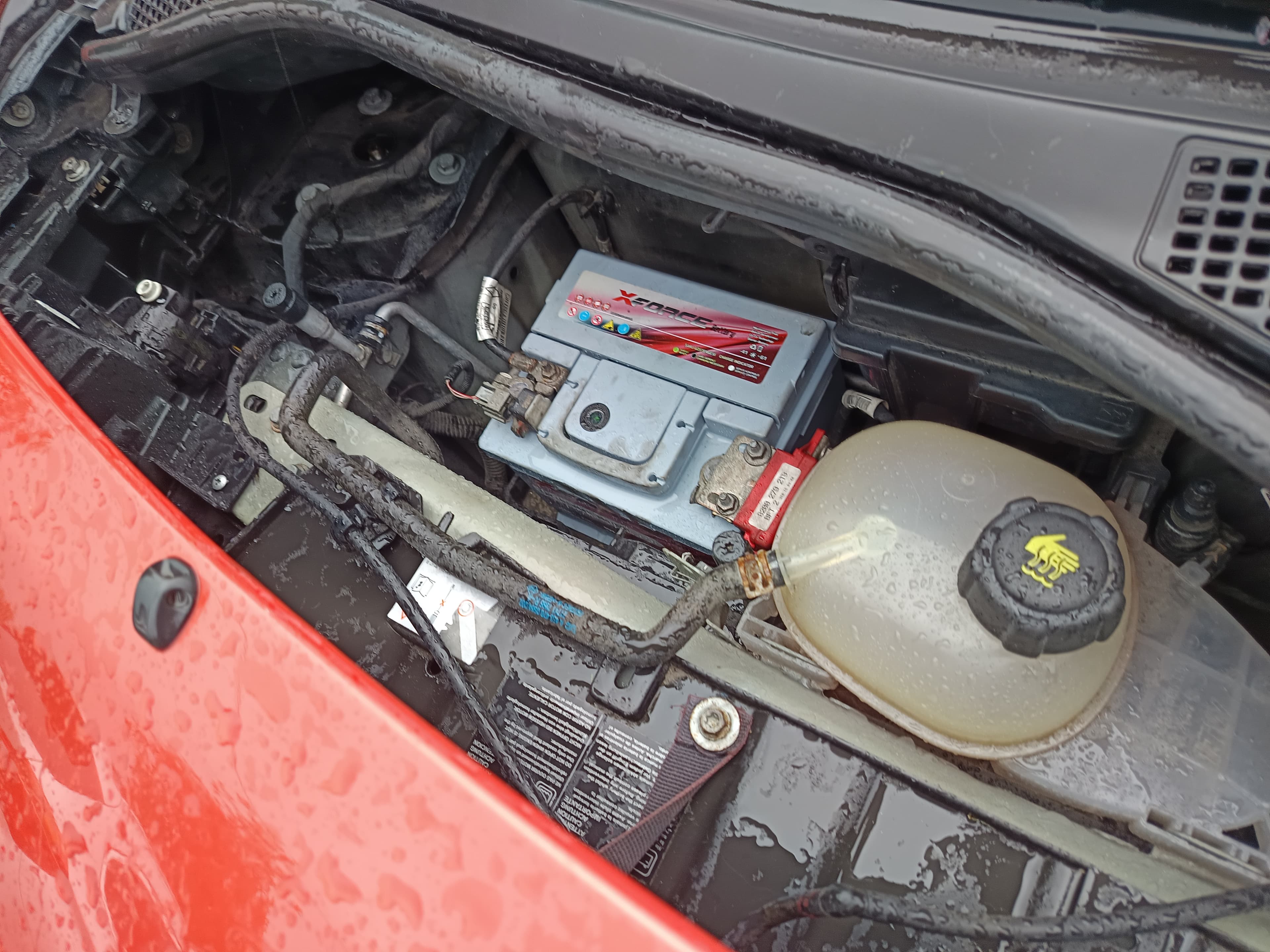 Smart Forfour · Ano 2016 — imagem 7