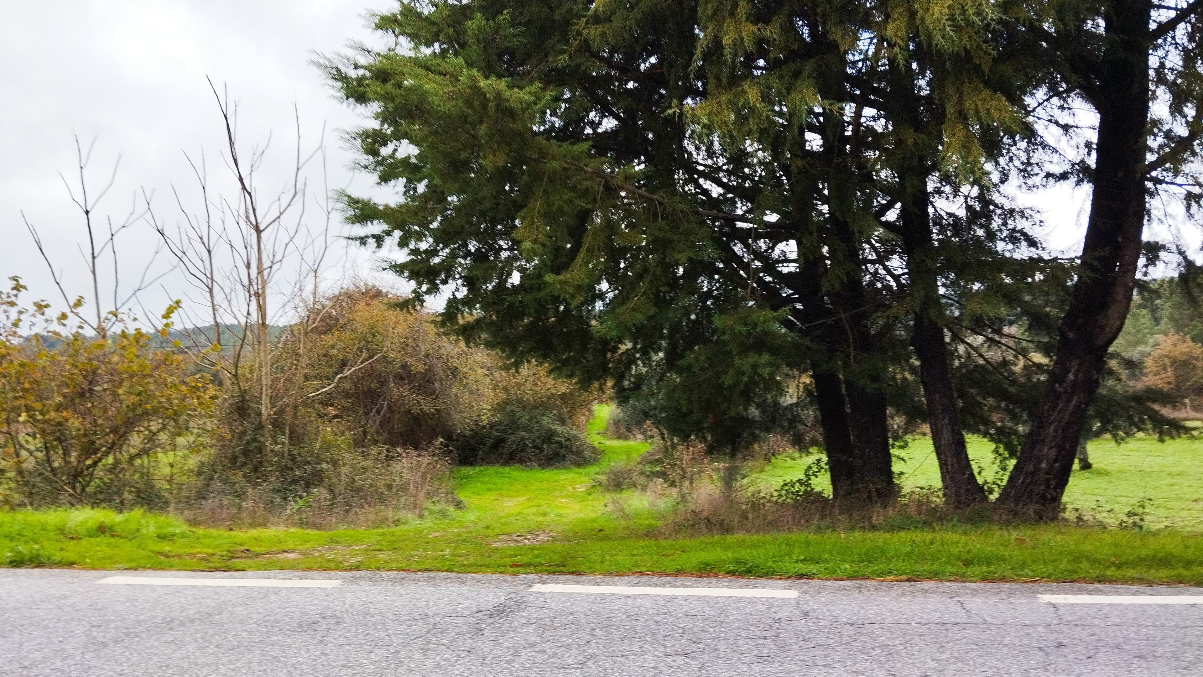 Terreno com 4.400 m² · Mangualde — image 4