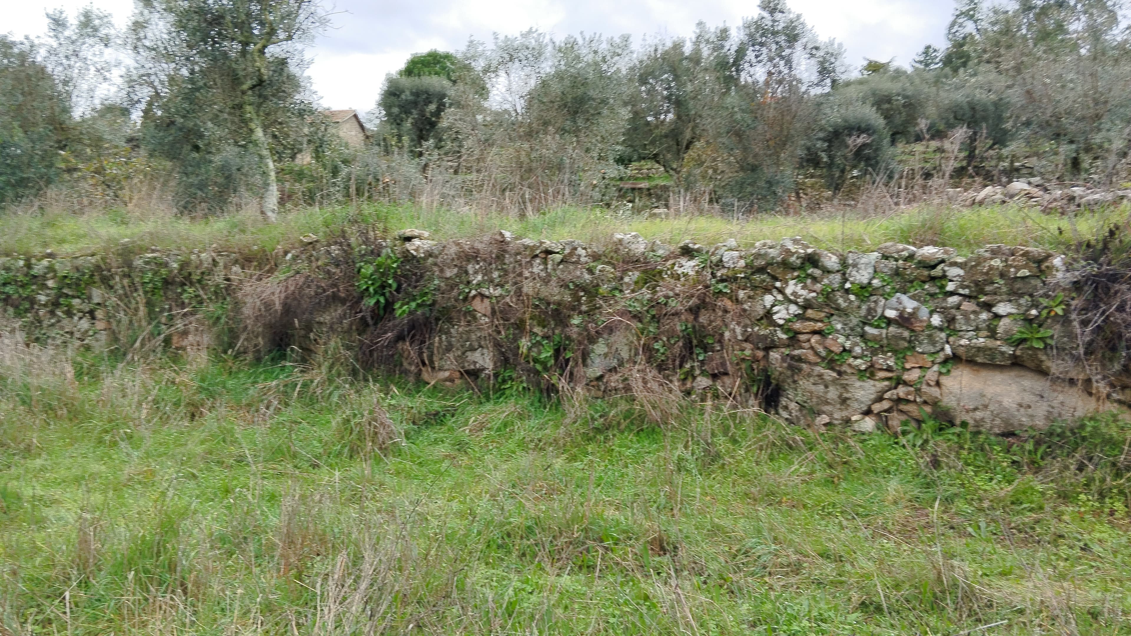 Terreno com 700 m² · Mangualde — image 8