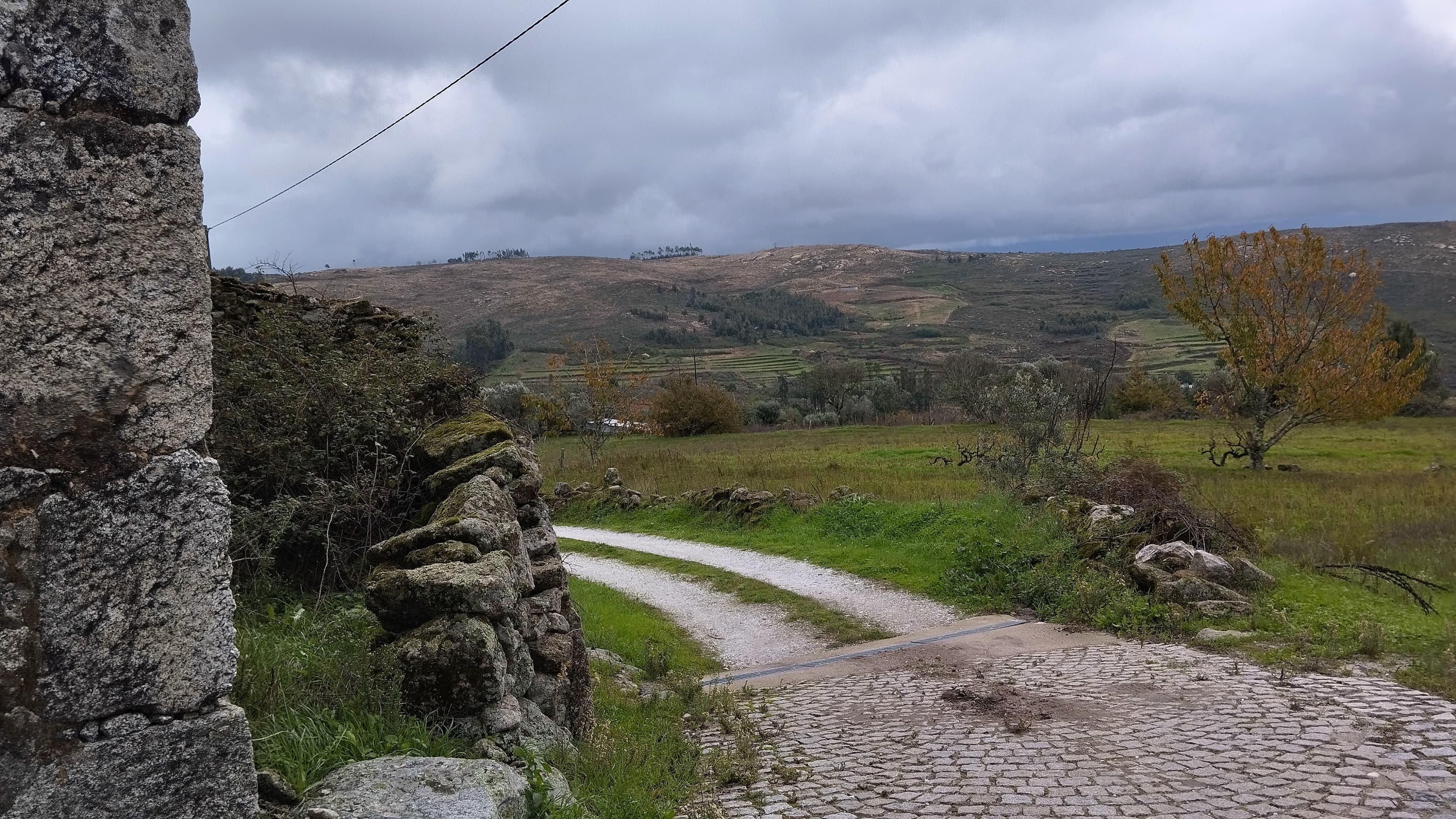Terreno com 700 m² · Mangualde — image 3