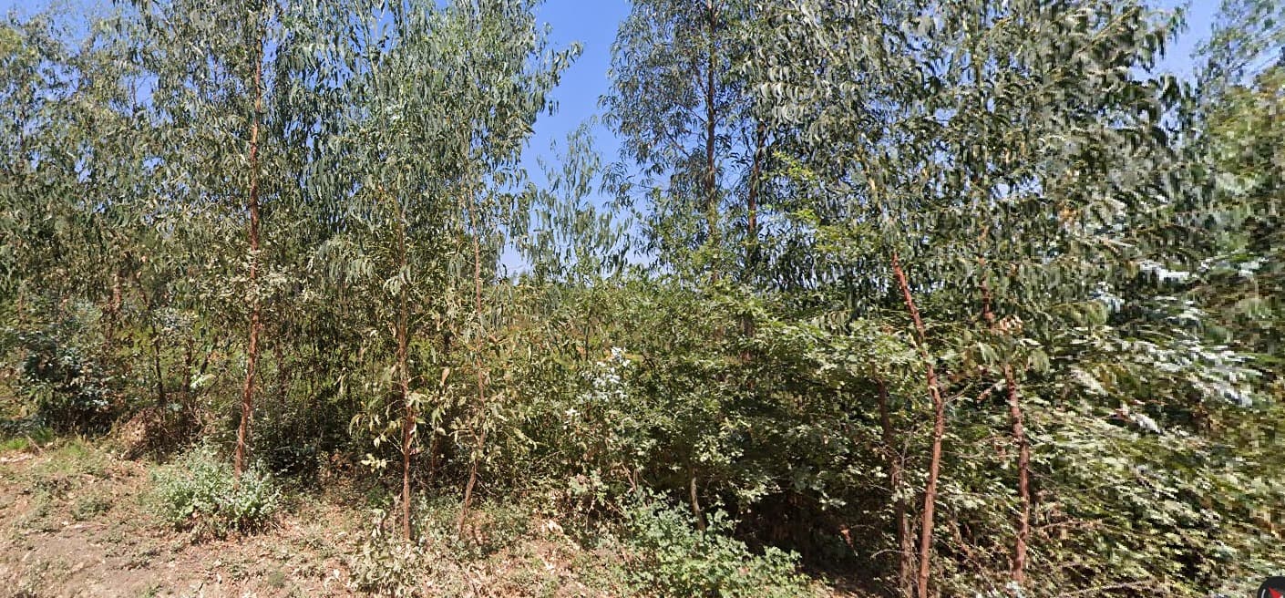 Terreno com 660 m² · Vila Nova de Poiares — image 1