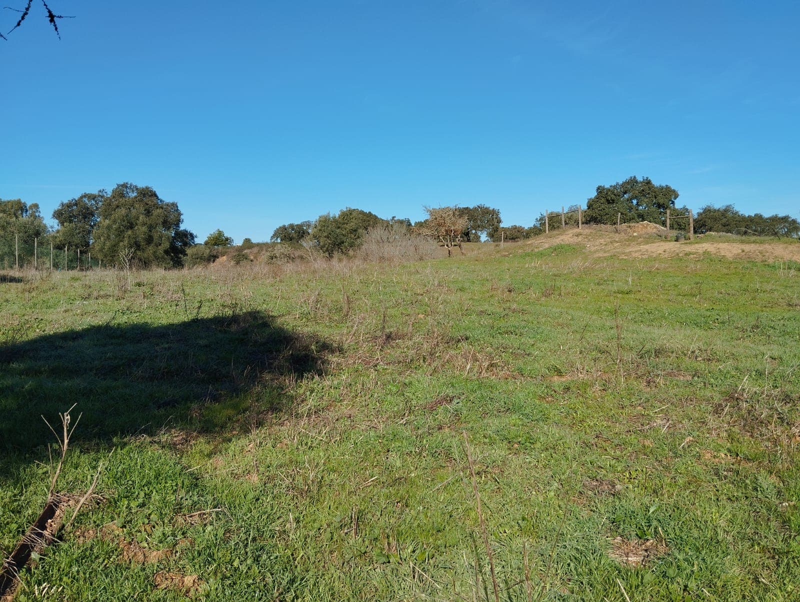 Terreno com 1,3 hectares · Garvão, Ourique — image 6