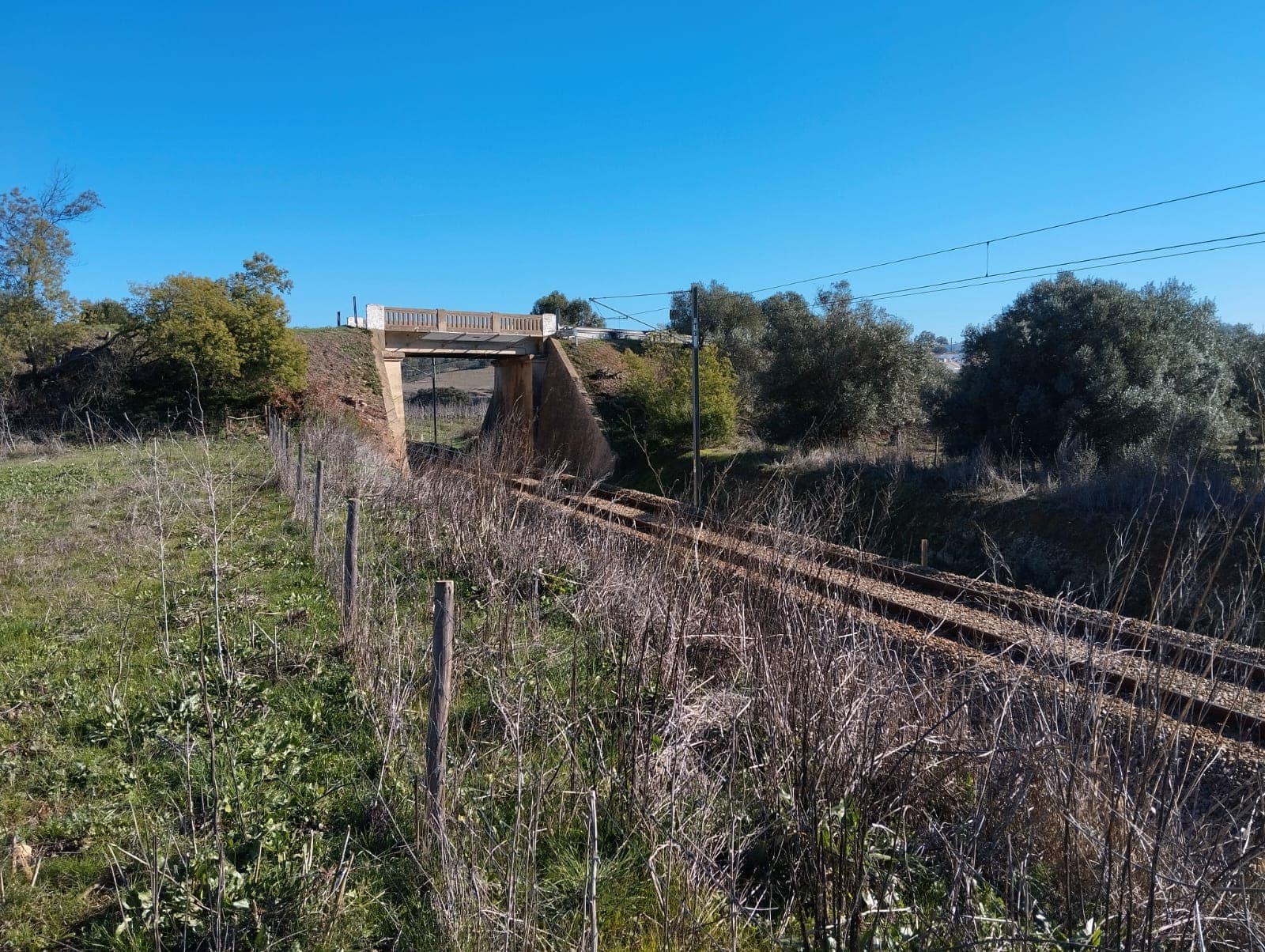 Terreno com 1,3 hectares · Garvão, Ourique — image 8