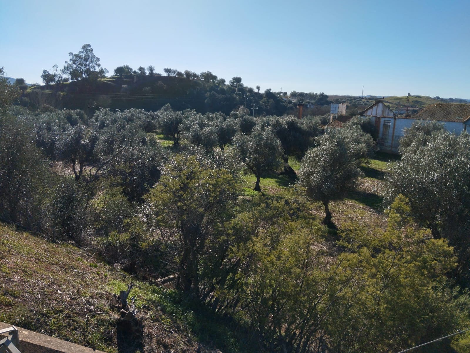 Terreno com 1,3 hectares · Garvão, Ourique — image 1