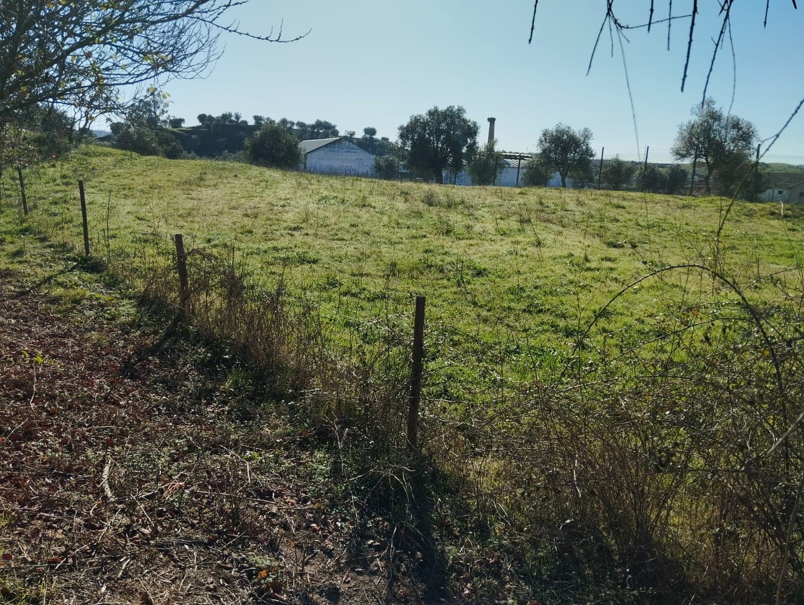 Terreno com 1,3 hectares · Garvão, Ourique — image 2