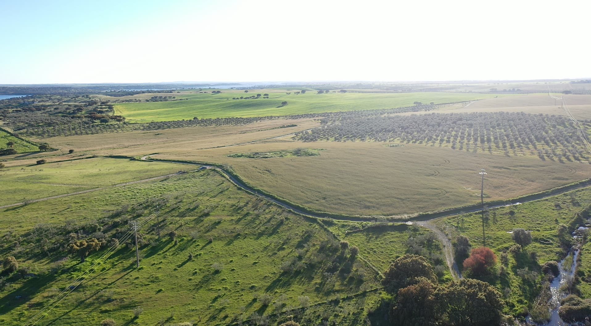 Herdade com 430 Hectares · Mourão, Évora — image 7