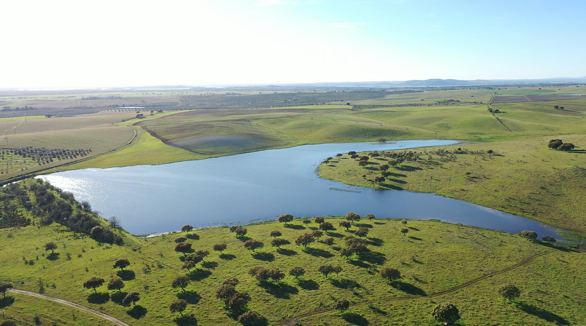 Herdade com 430 Hectares · Mourão, Évora — image 11