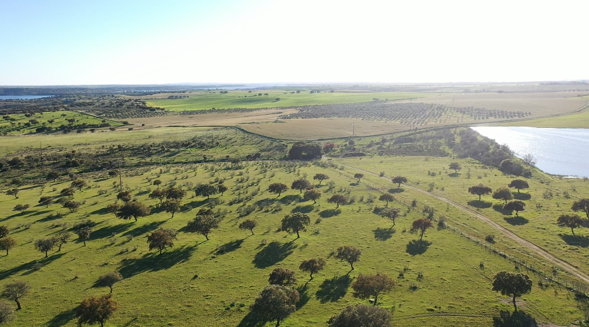 Herdade com 430 Hectares · Mourão, Évora — image 6