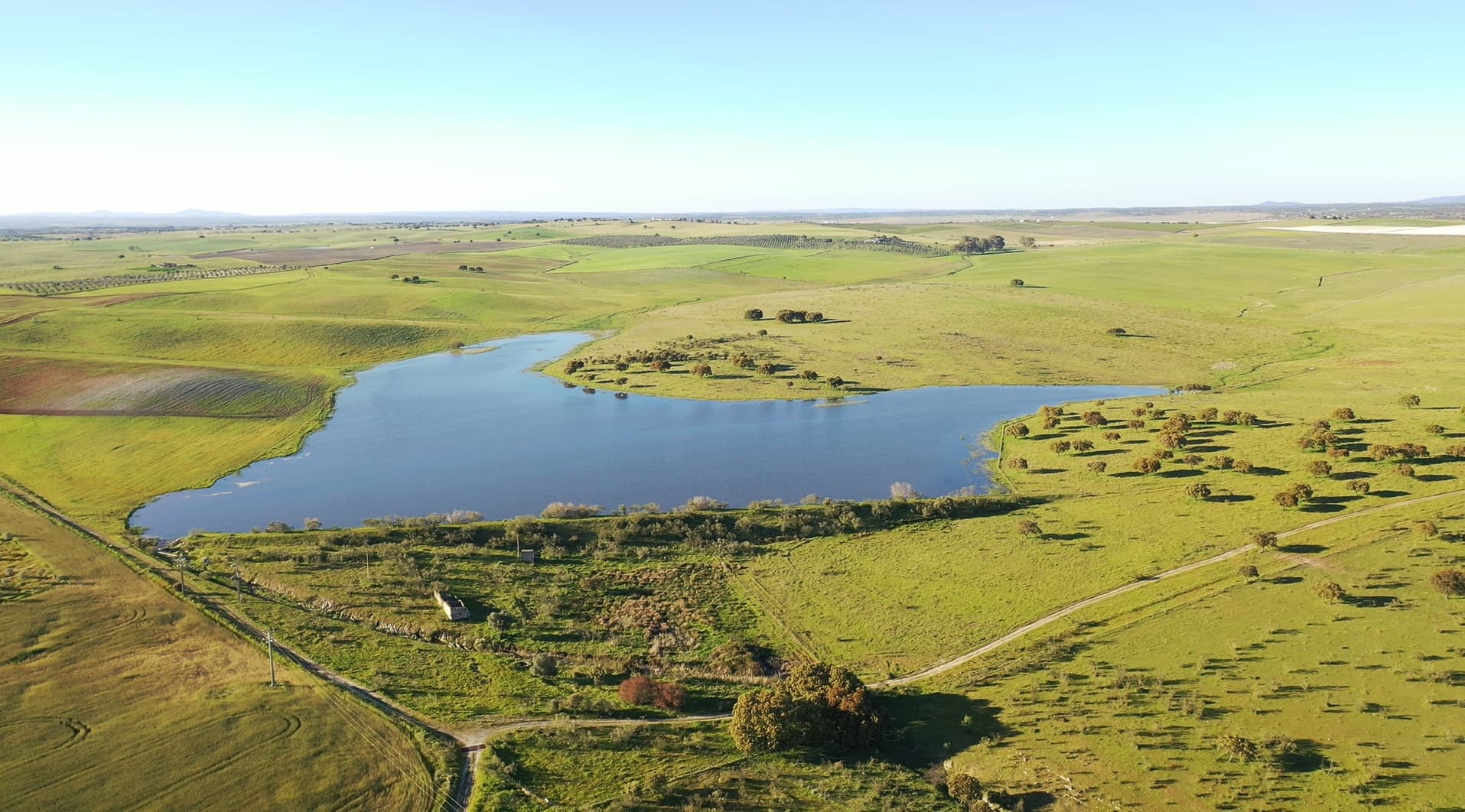 Herdade com 430 Hectares · Mourão, Évora — image 12