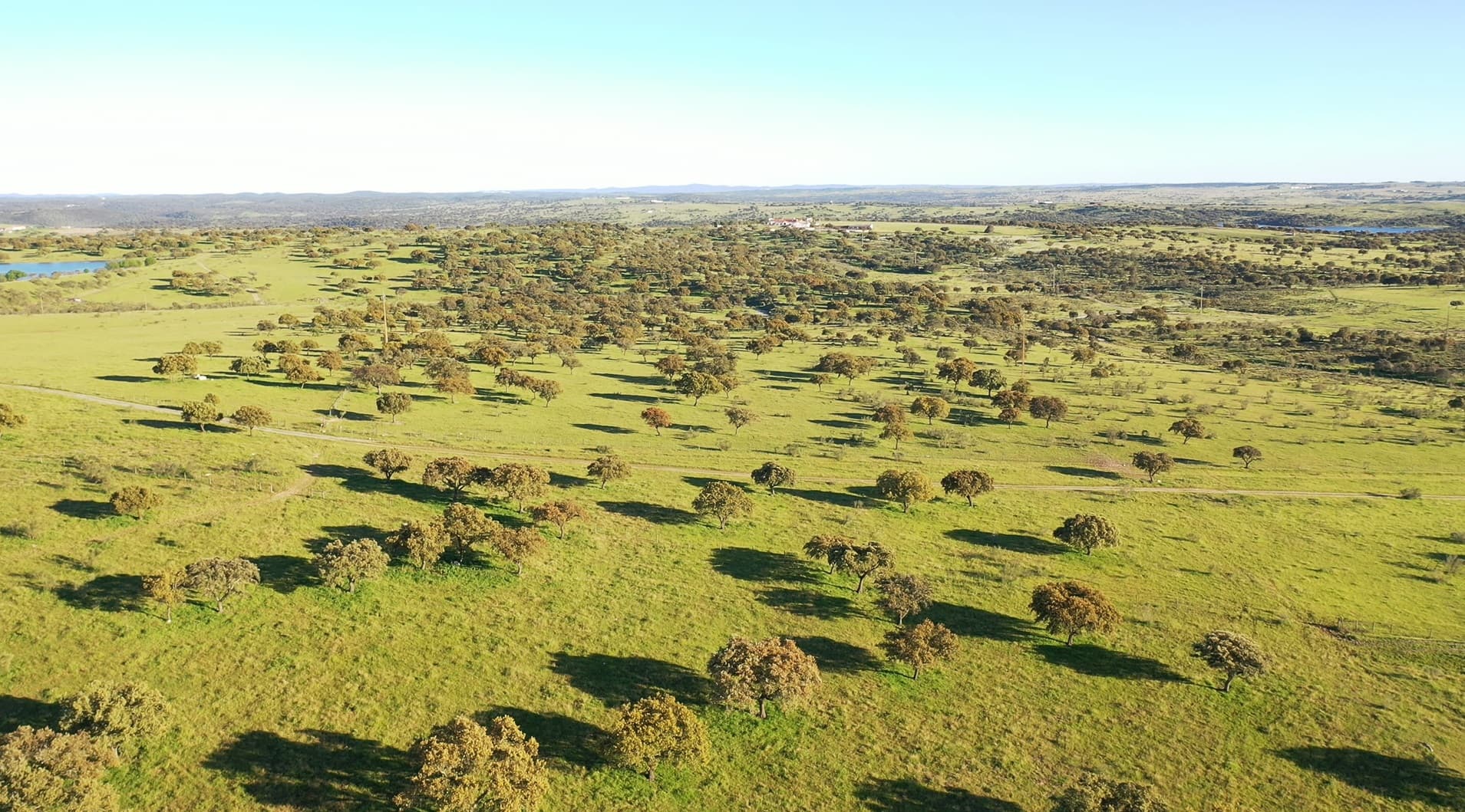 Herdade com 430 Hectares · Mourão, Évora — image 5