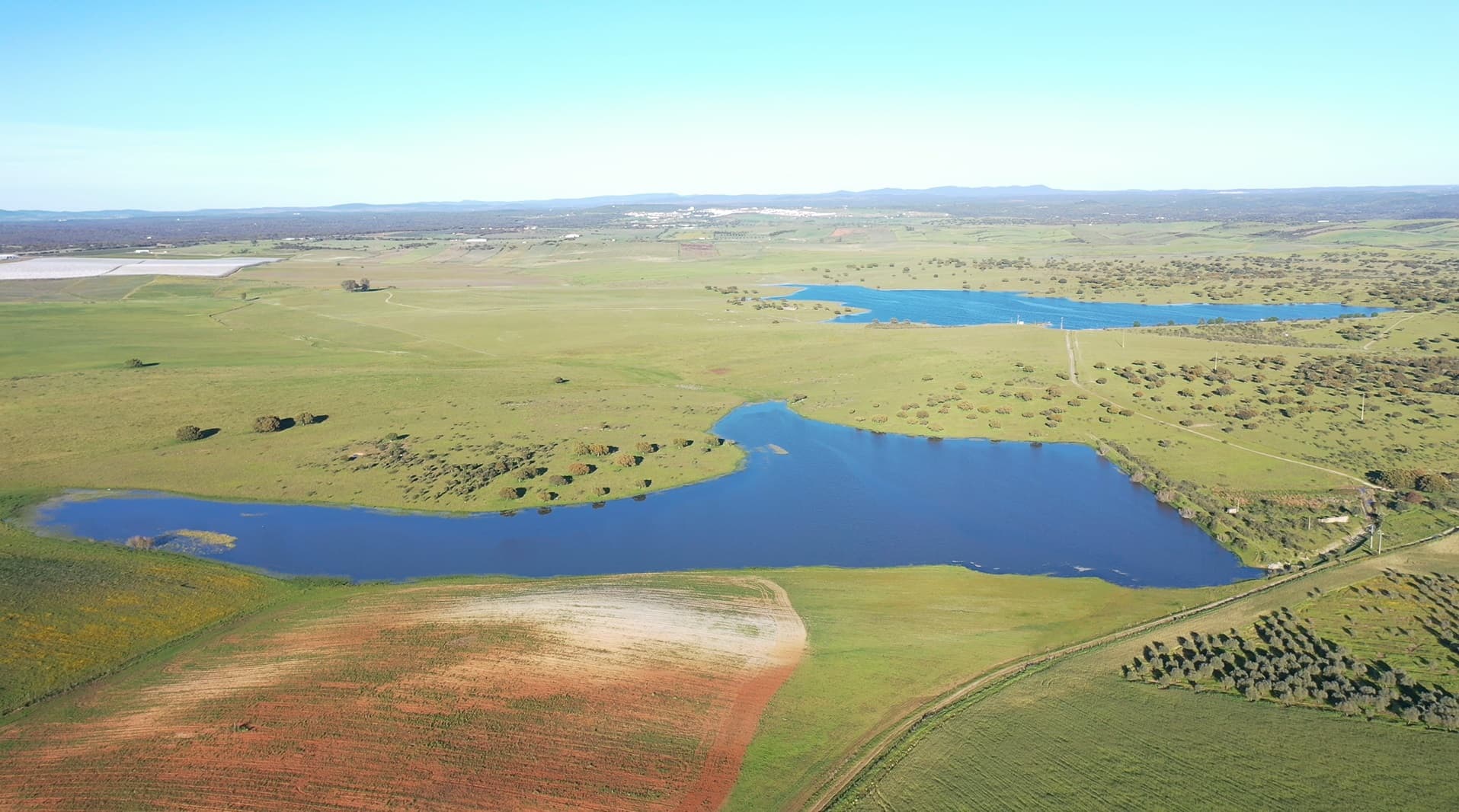 Herdade com 430 Hectares · Mourão, Évora — image 2