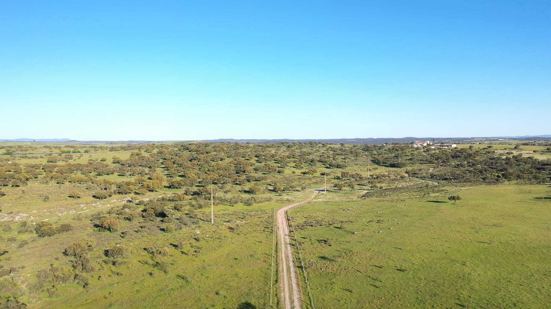 Herdade com 430 Hectares · Mourão, Évora — image 8