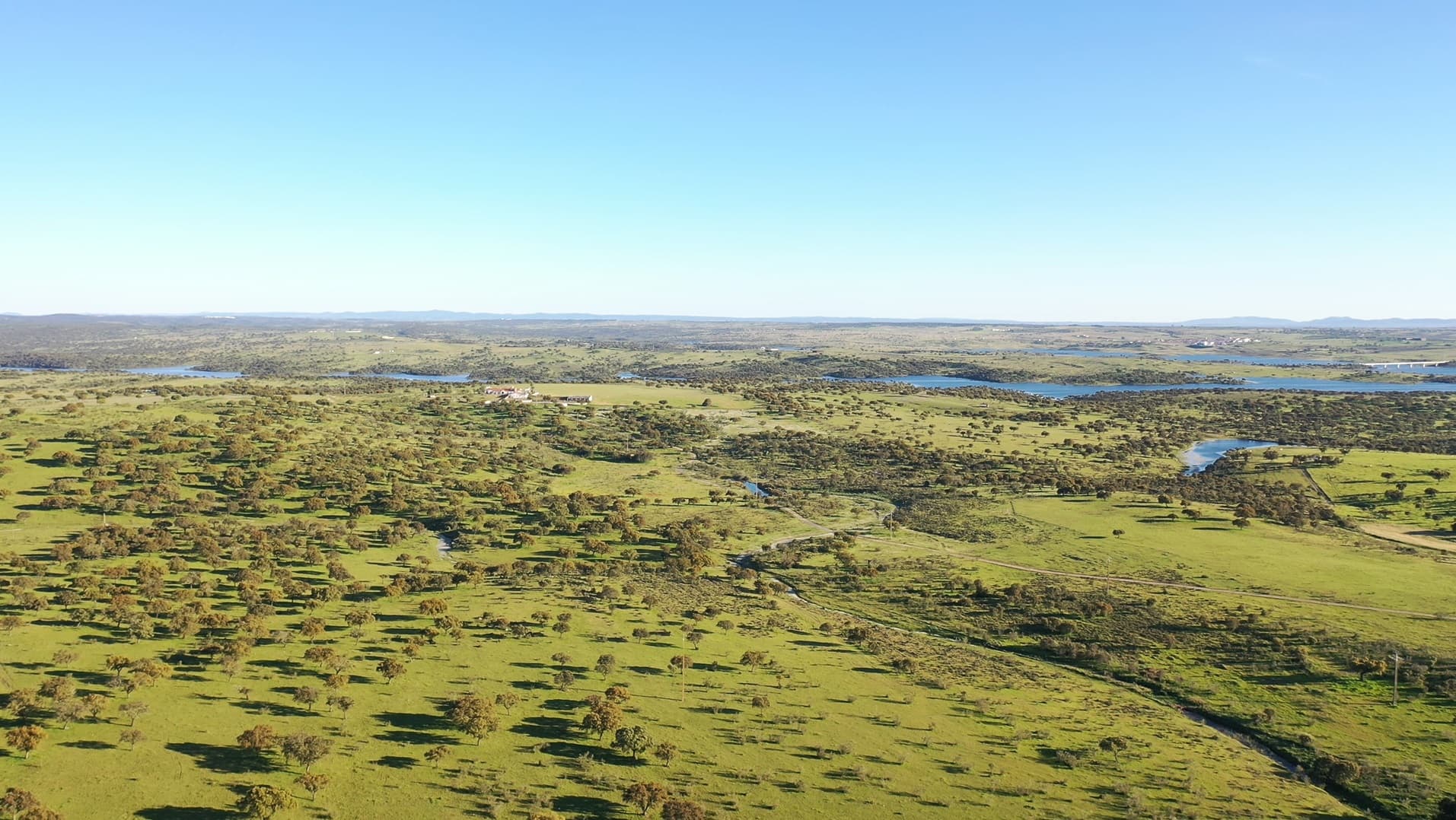 Herdade com 430 Hectares · Mourão, Évora — image 3