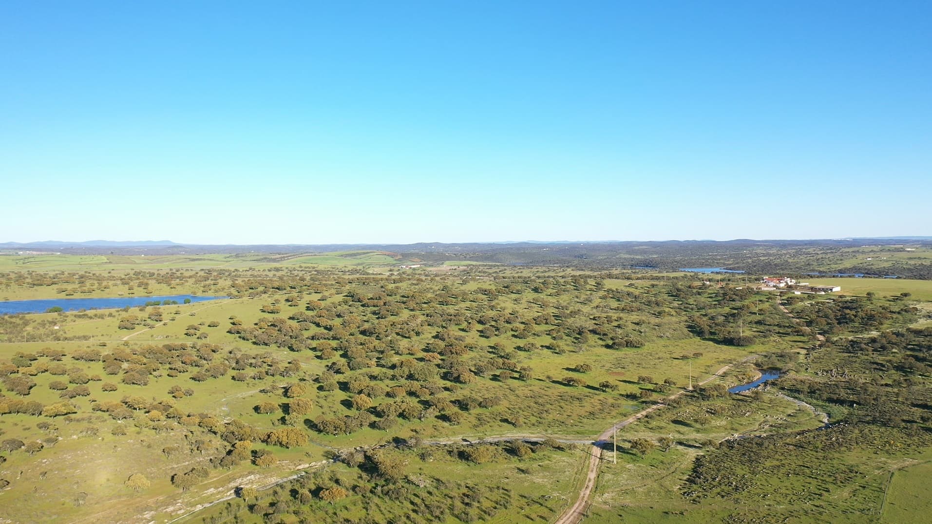 Herdade com 430 Hectares · Mourão, Évora — image 9