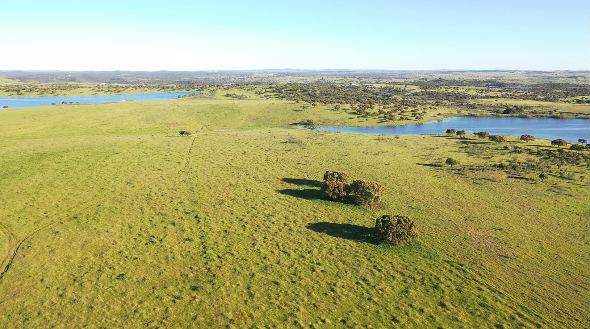 Herdade com 430 Hectares · Mourão, Évora — image 4