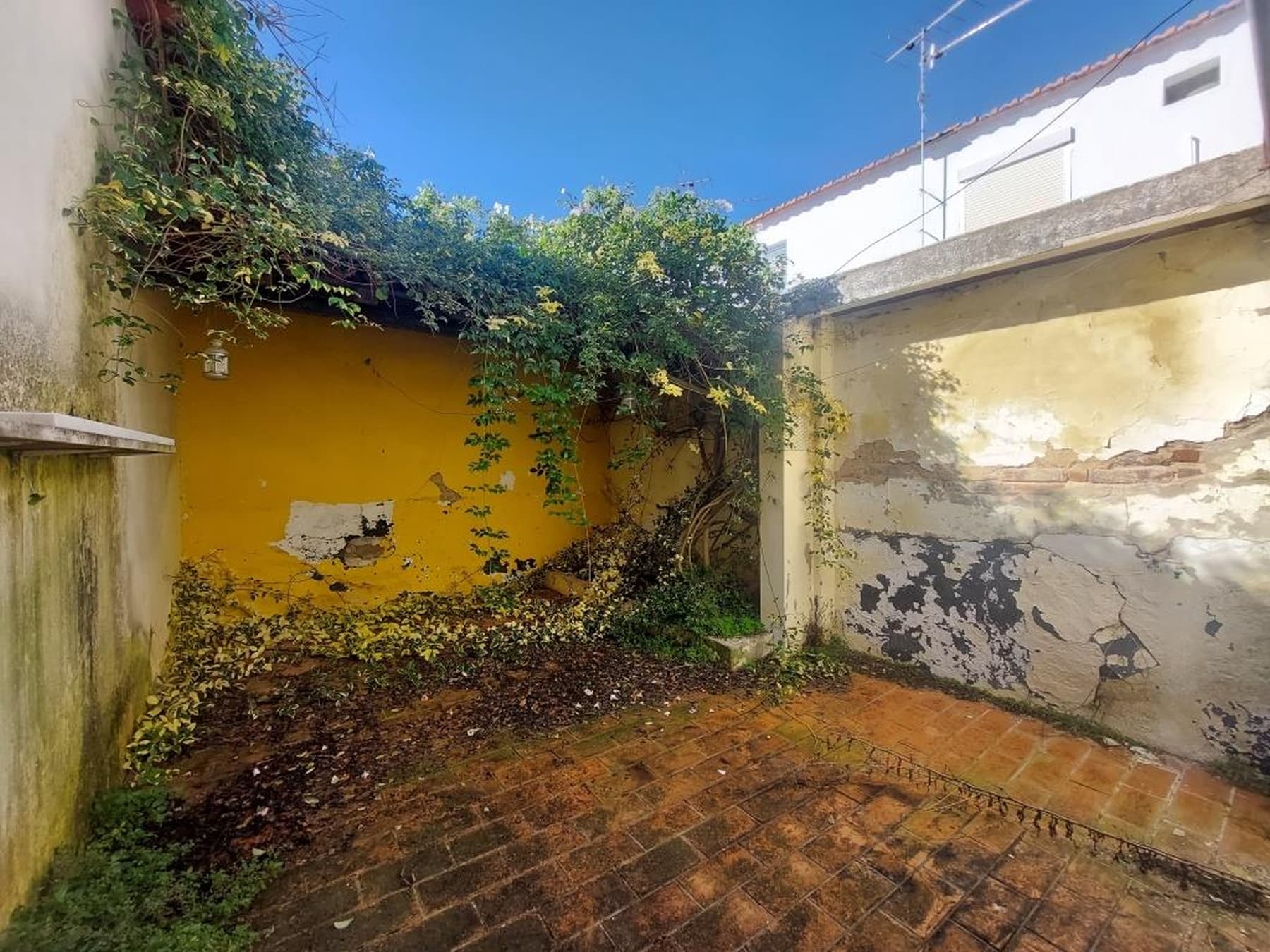 Moradia V3 para Reabilitação · Ferreira do Alentejo, Beja — imagem 15