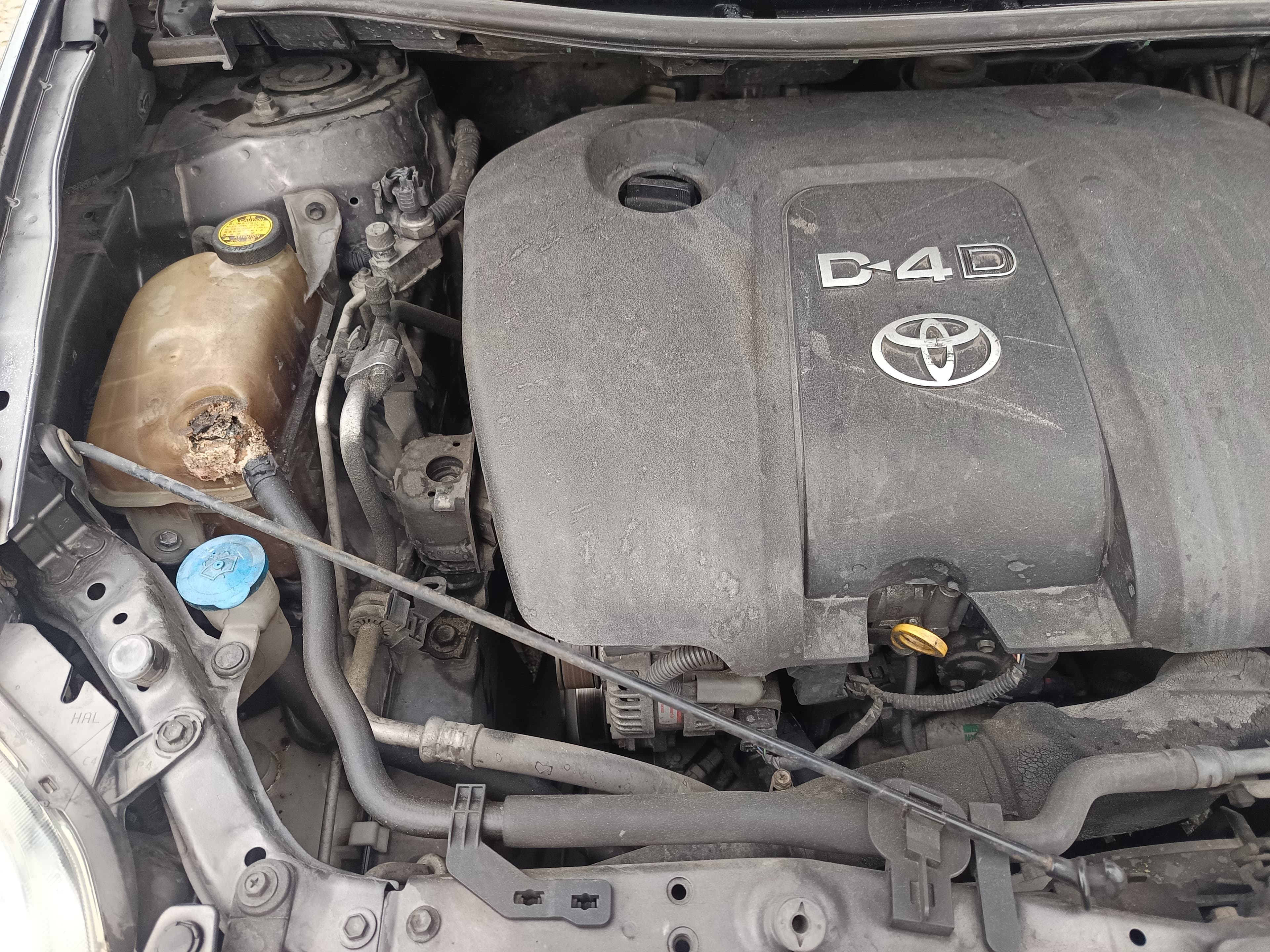 Toyota Auris · Ano 2008 — imagem 20