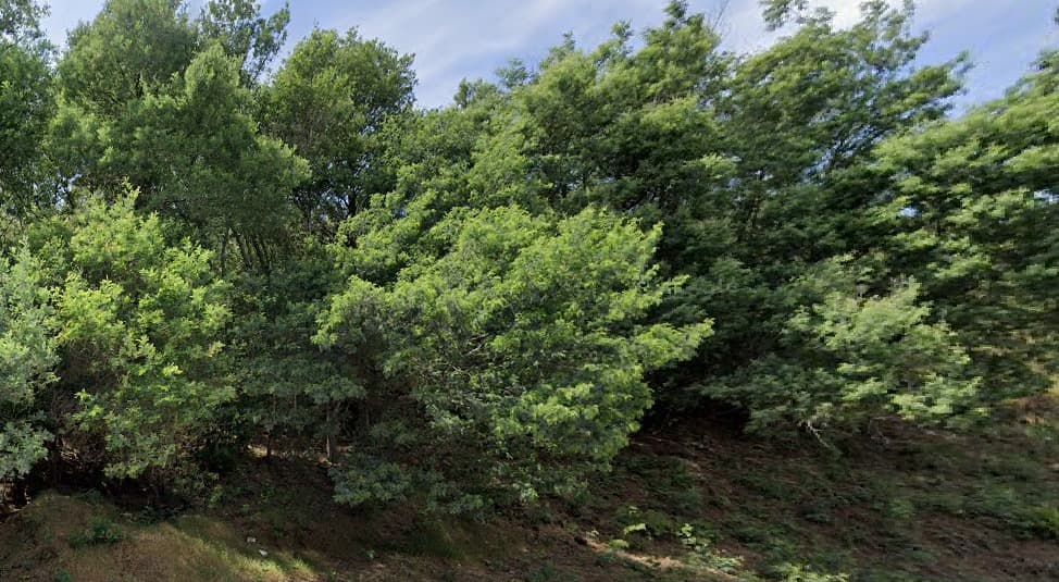 Terrenos · Silvares, Fundão — imagem 2