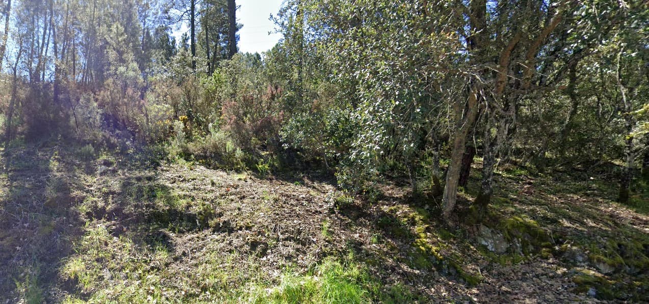Terrenos · Silvares, Fundão — imagem 8